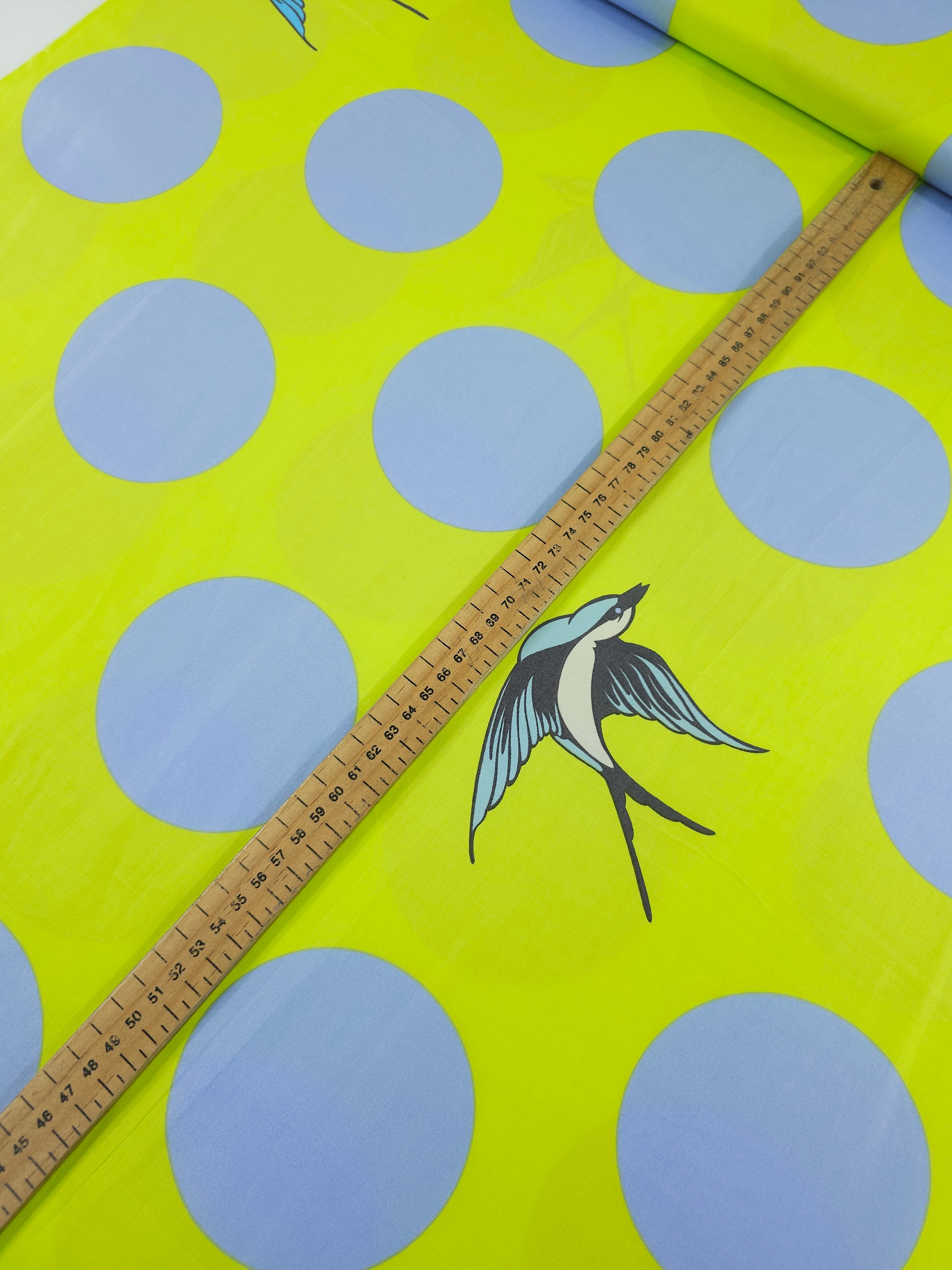 Lime/Baby Blue Free Fall Bird Polka Cotton Sateen 103" - Tula Pink *EXTRA WIDE*