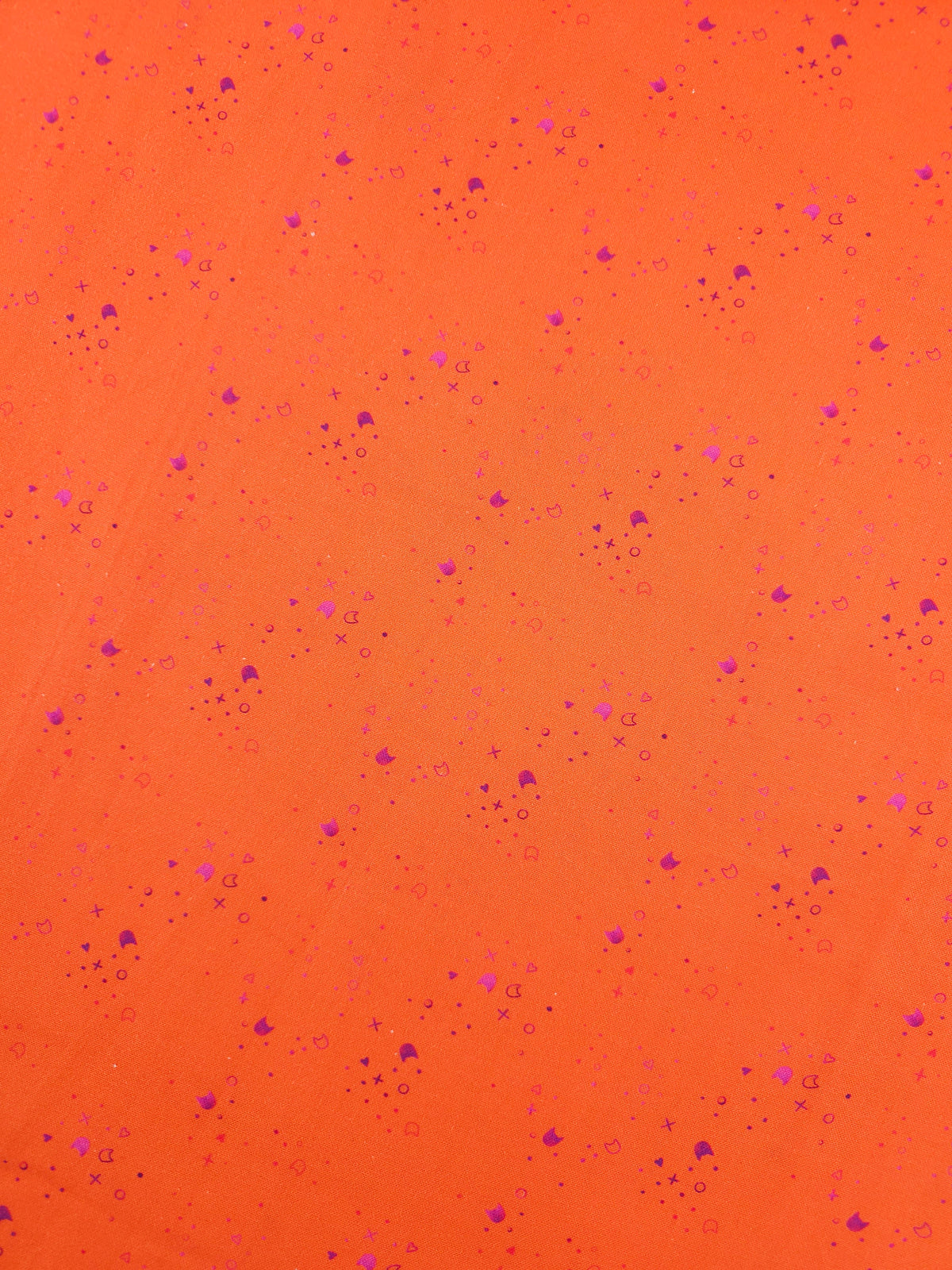 Orange/Magenta Kitty Litter - Pammie Jane