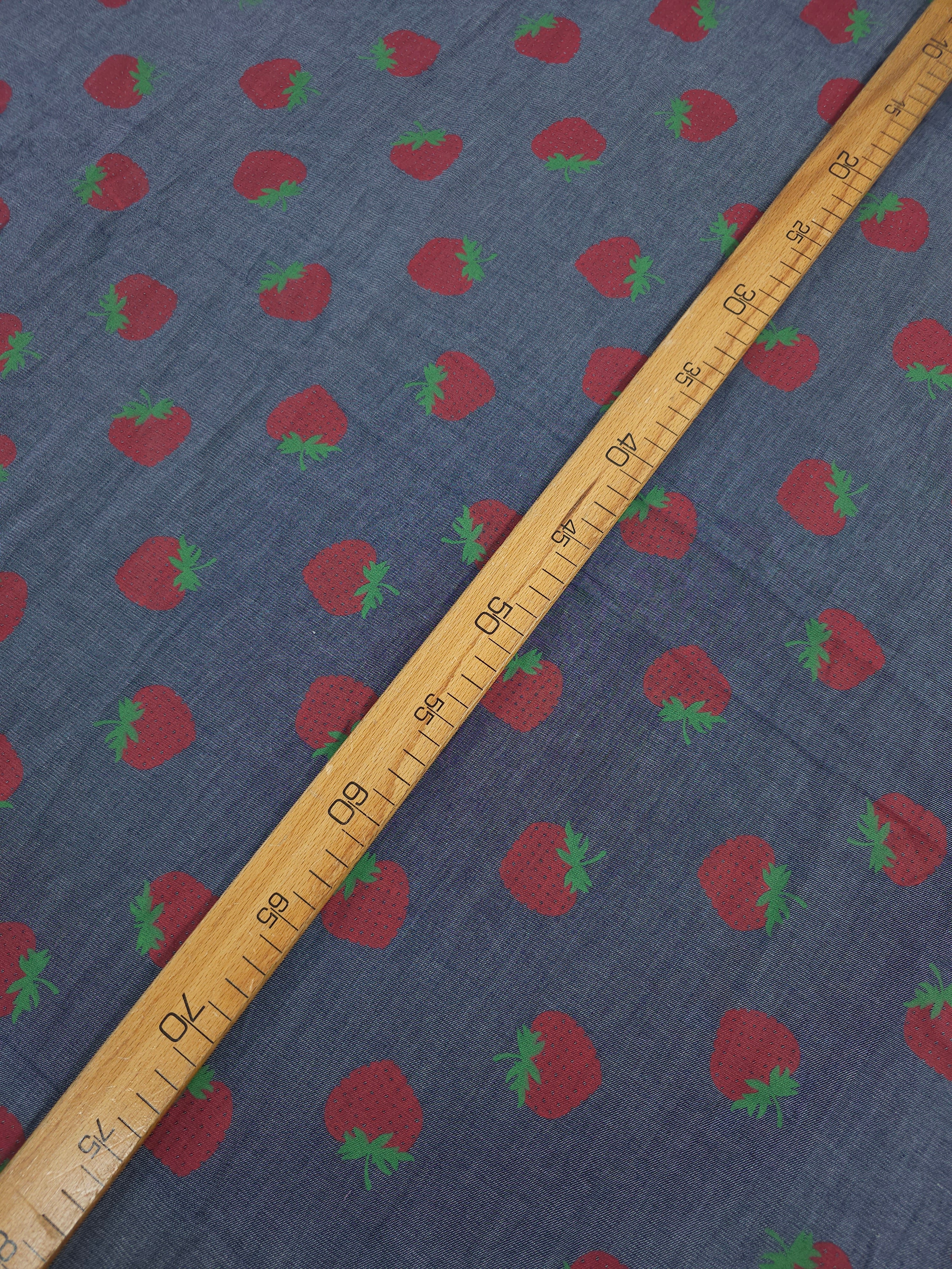 Strawberry Chambray