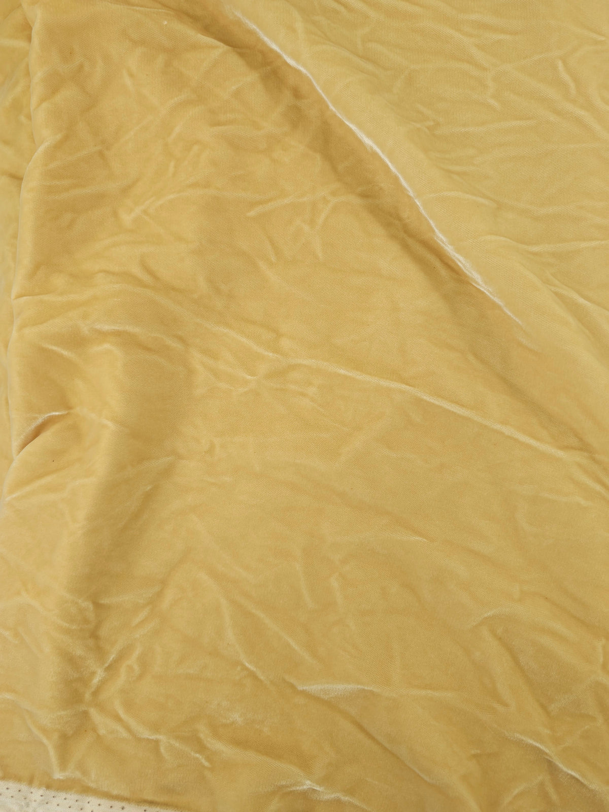 Golden Velvet- 2.4m piece