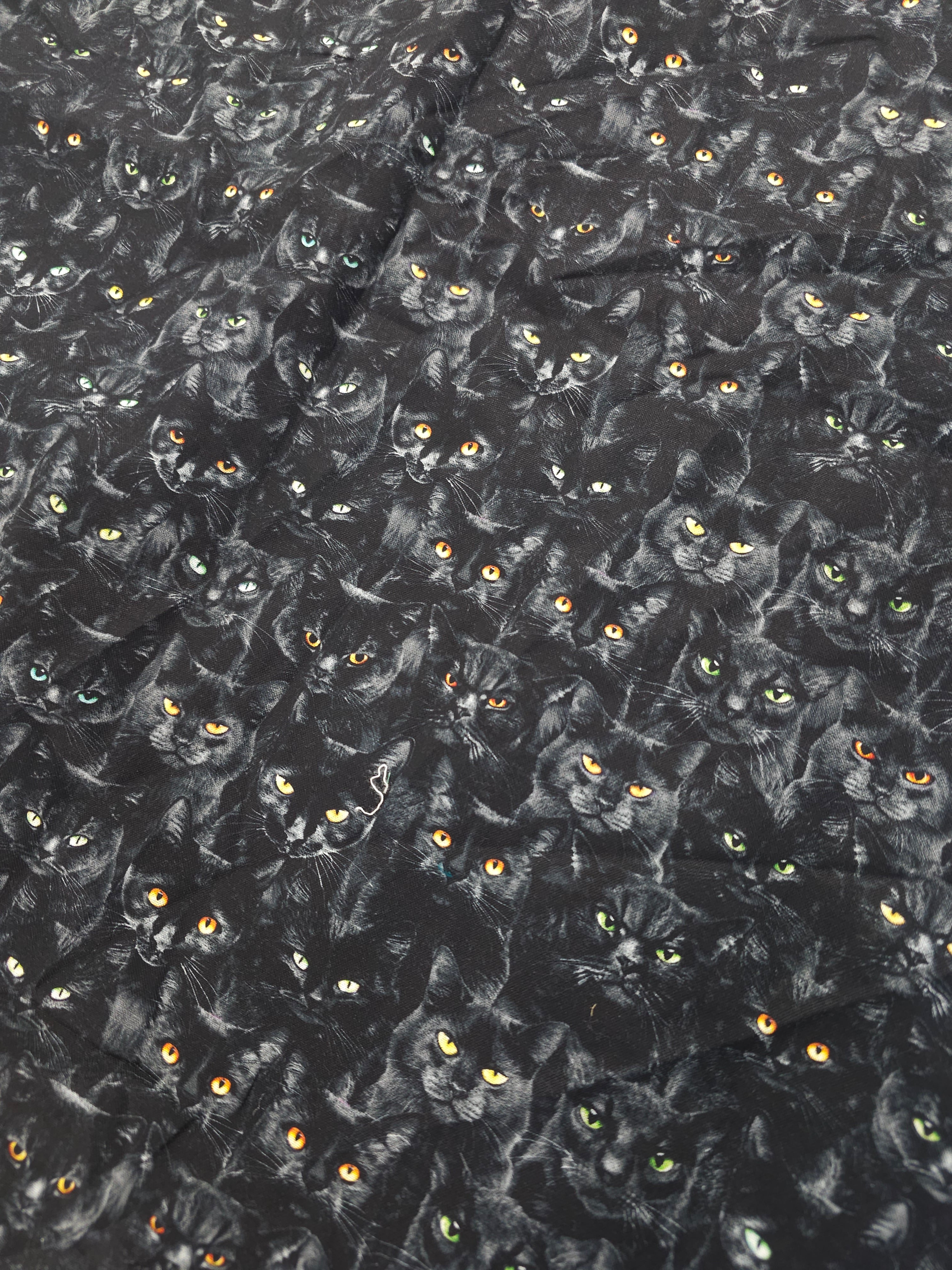 Black cat Cotton- 2m piece