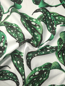  Green/White Large Leaf Cotton Poplin