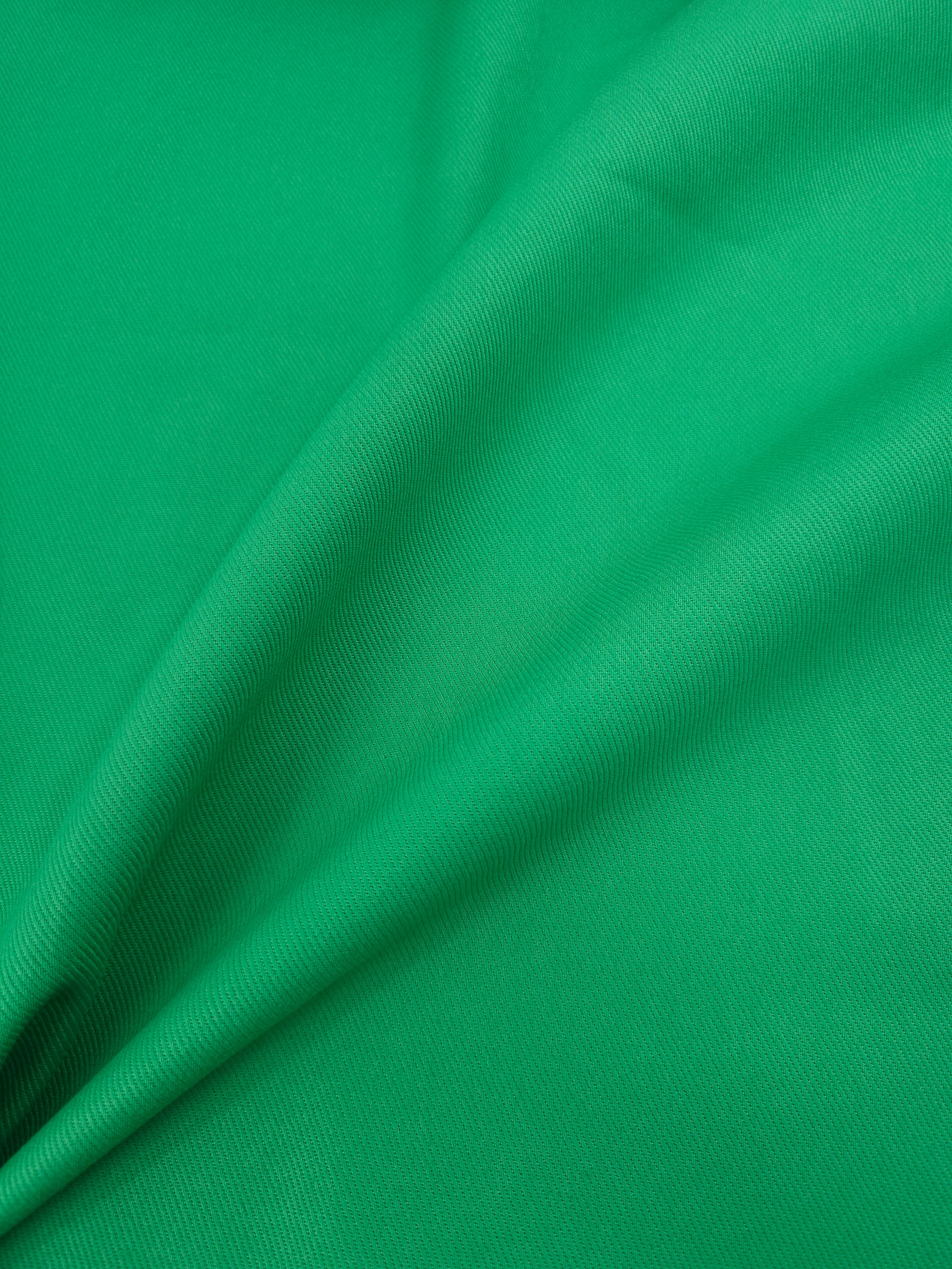 Parakeet Green Twill Denim
