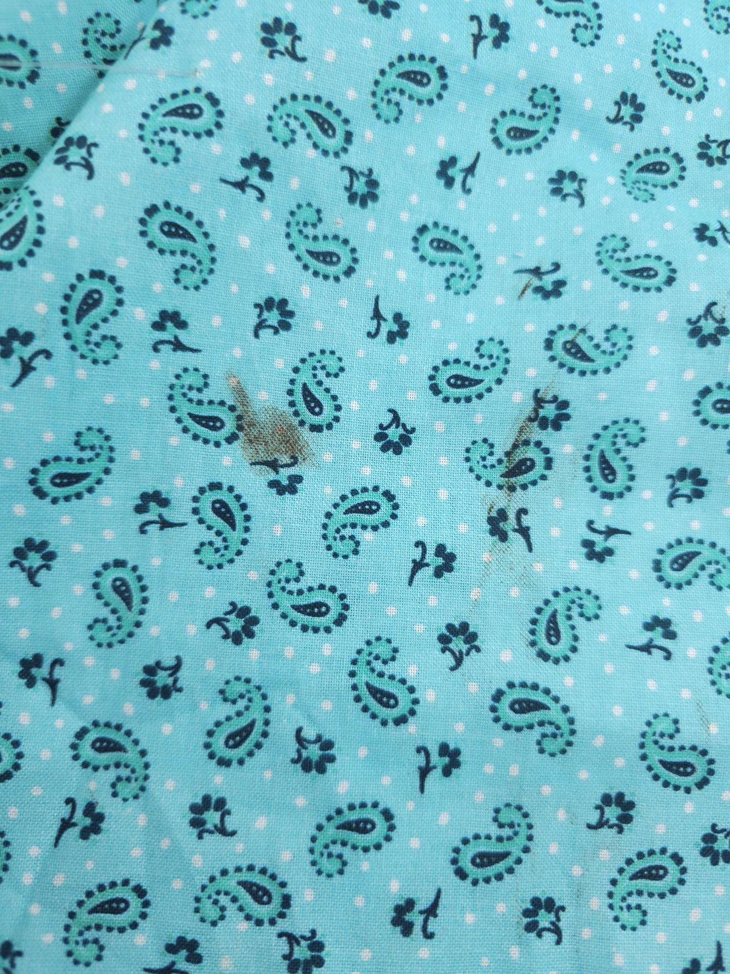 Turquoise Teardrops Cotton - 4m Piece