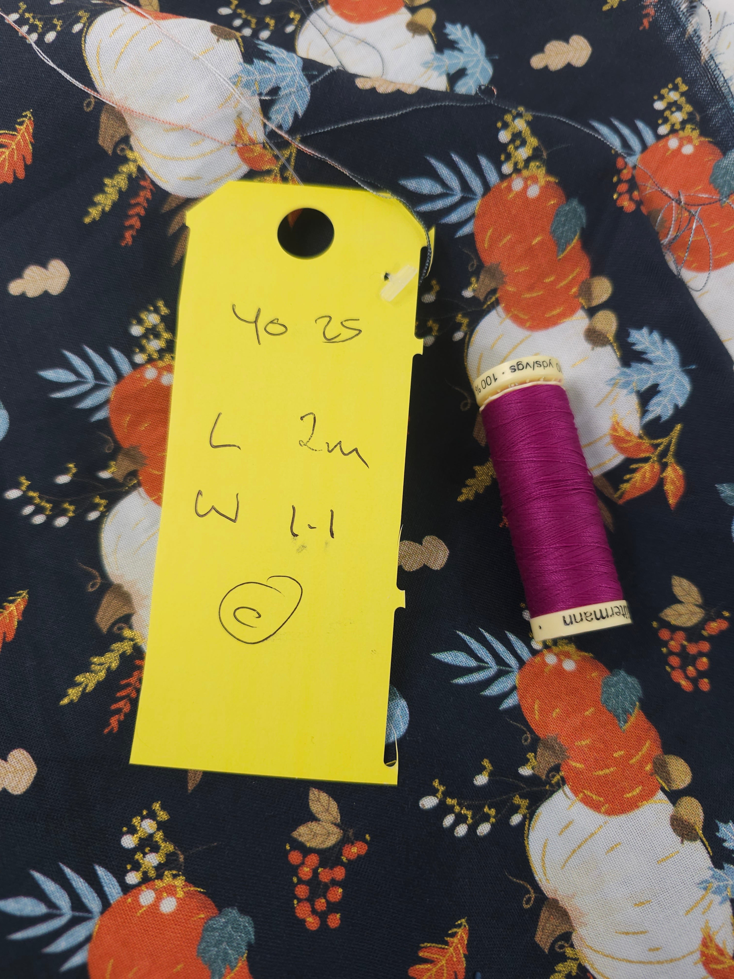Whimsy pumpkin Cotton- 2m piece