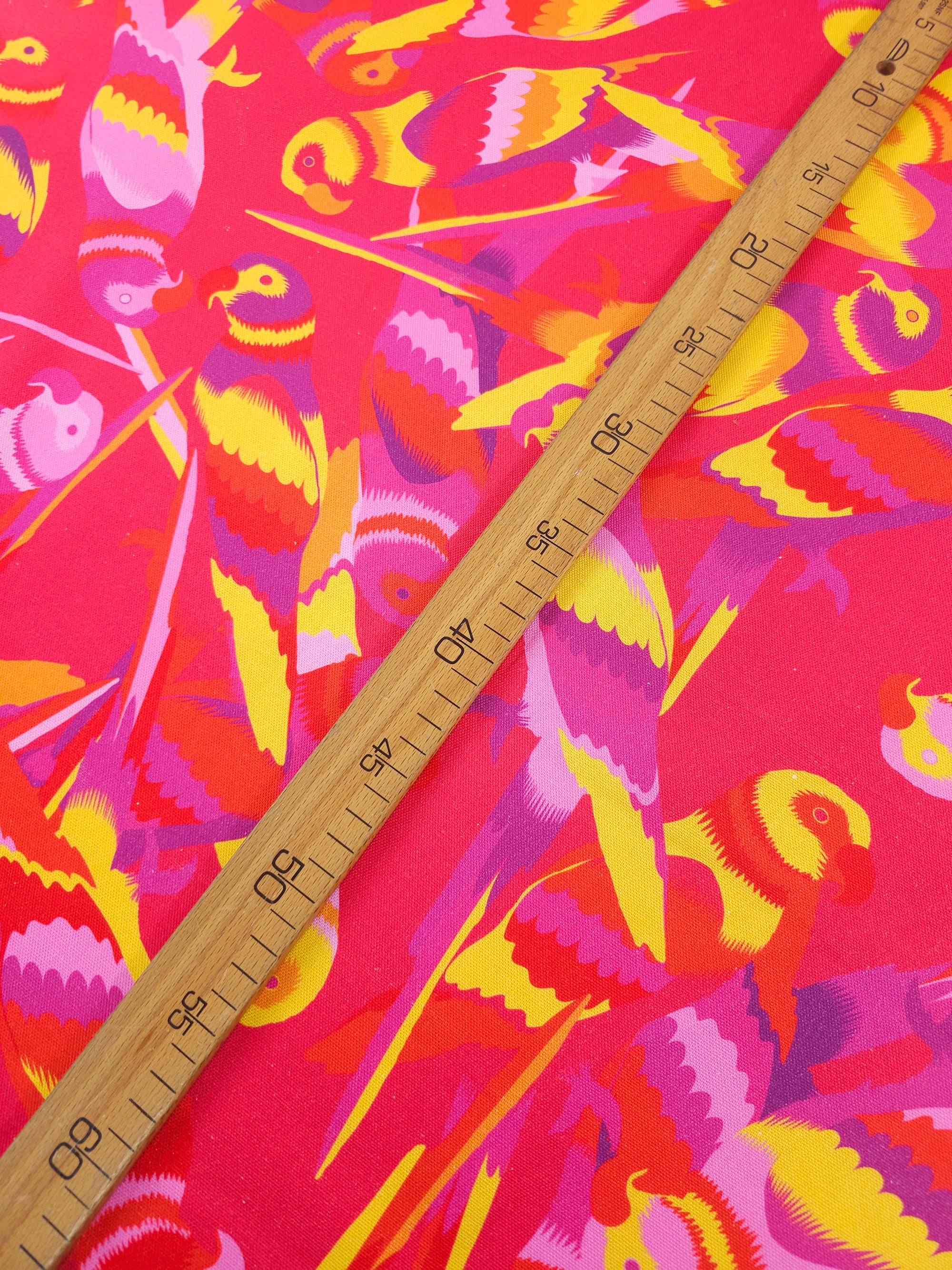 Summer Parrot Fiesta Canvas Cotton