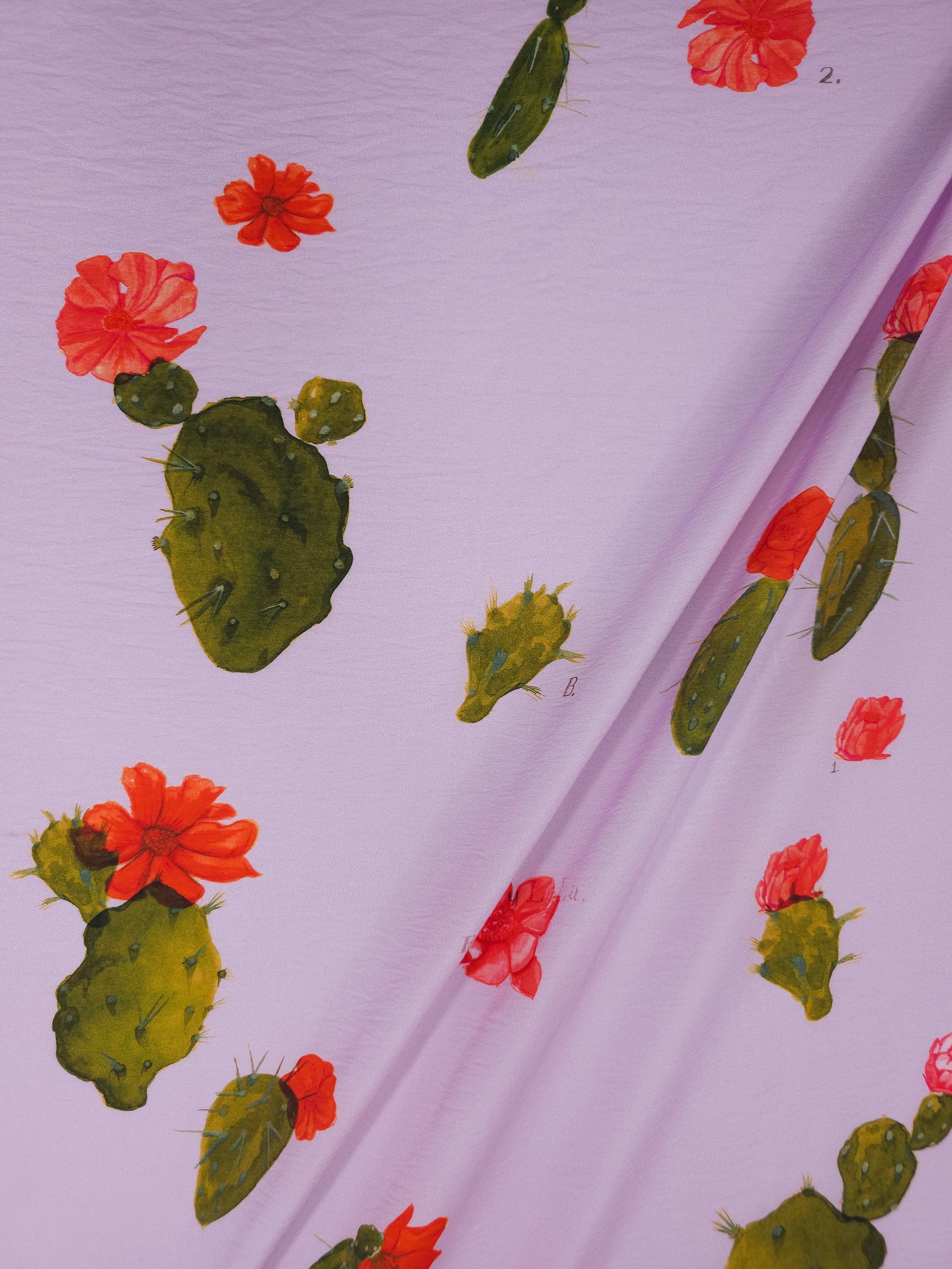 Lilac Floral Cactus Modal