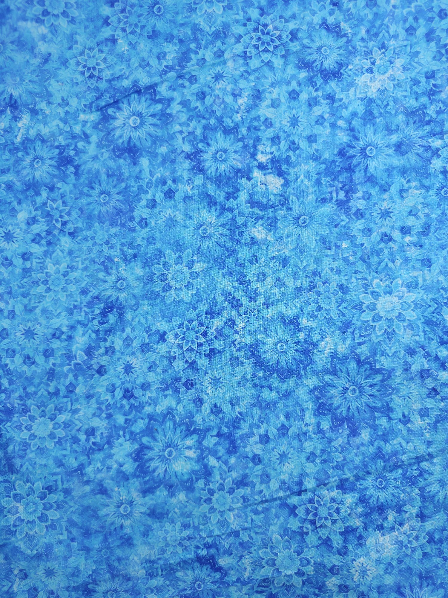 Winter Bluebell Bloom Cotton - 1.7m Piece