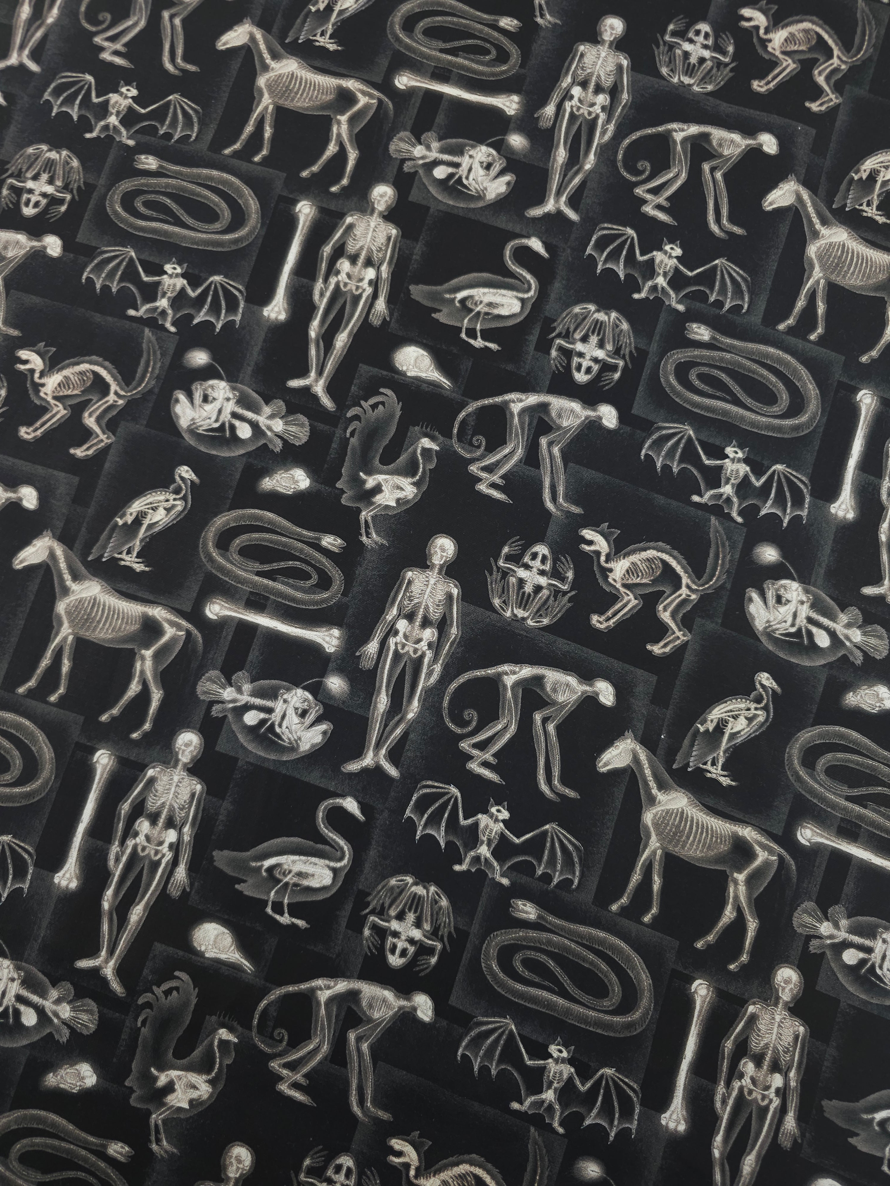 Spooky Skeletal X-Ray 100% Cotton