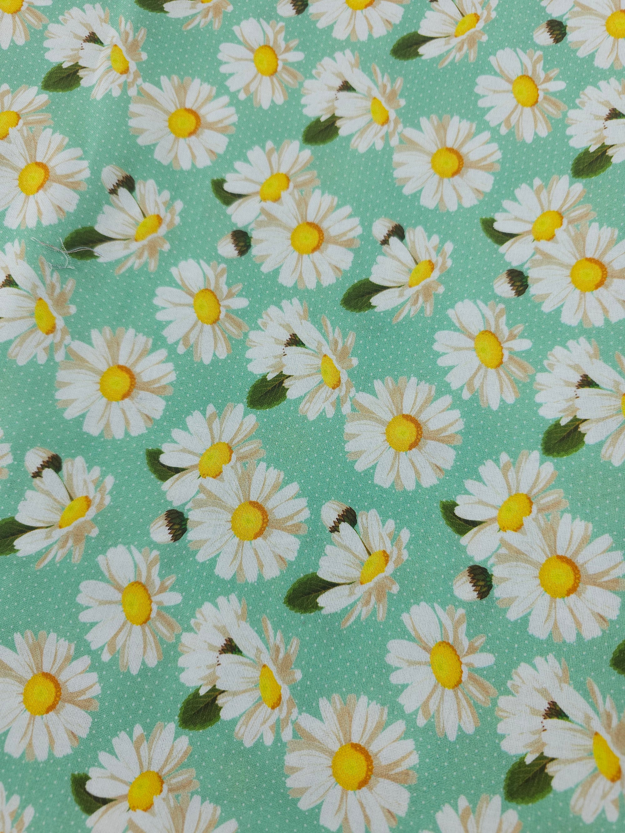 Mint daisy Cotton- 4m piece