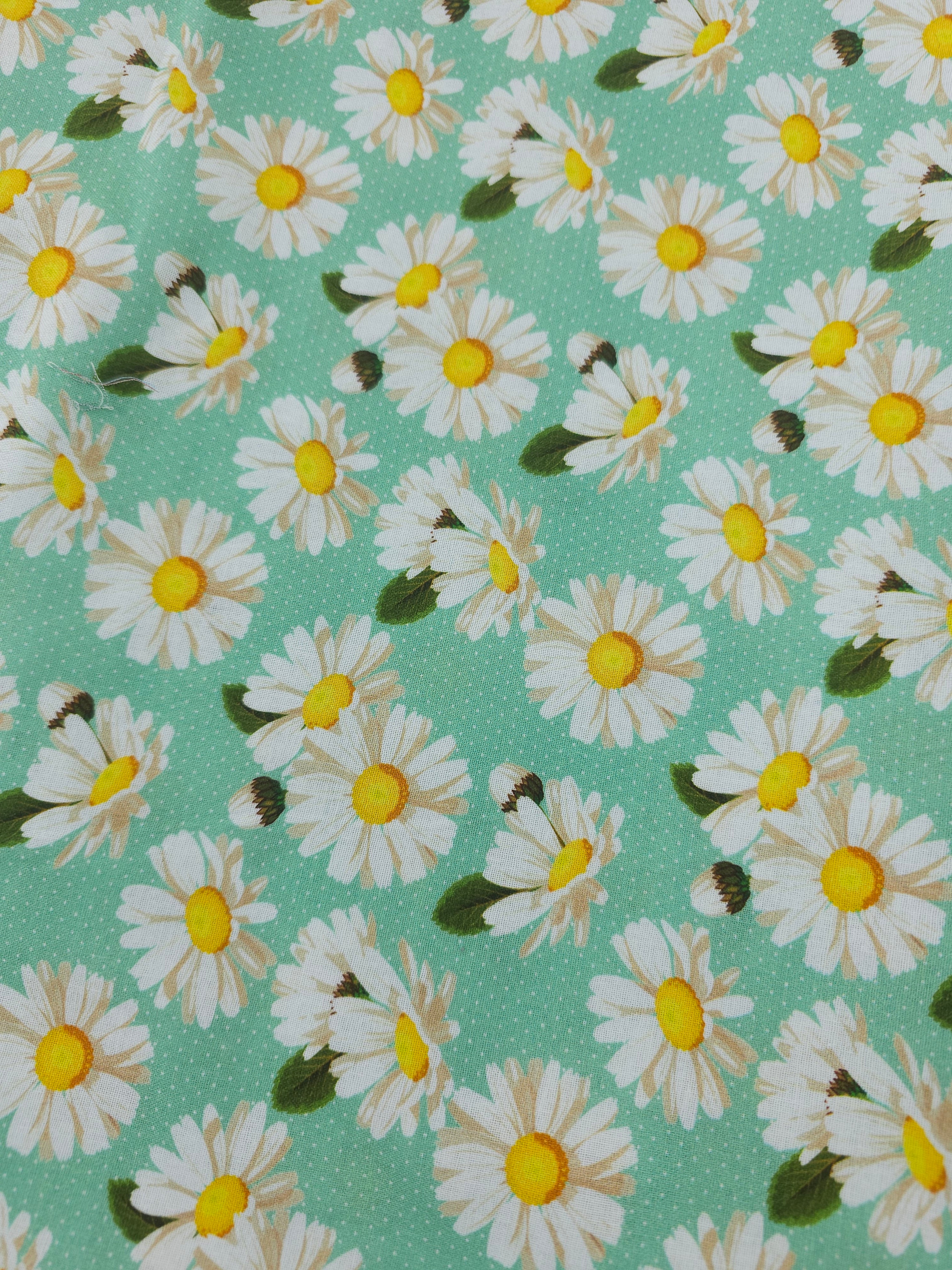 Mint daisy Cotton- 4m piece