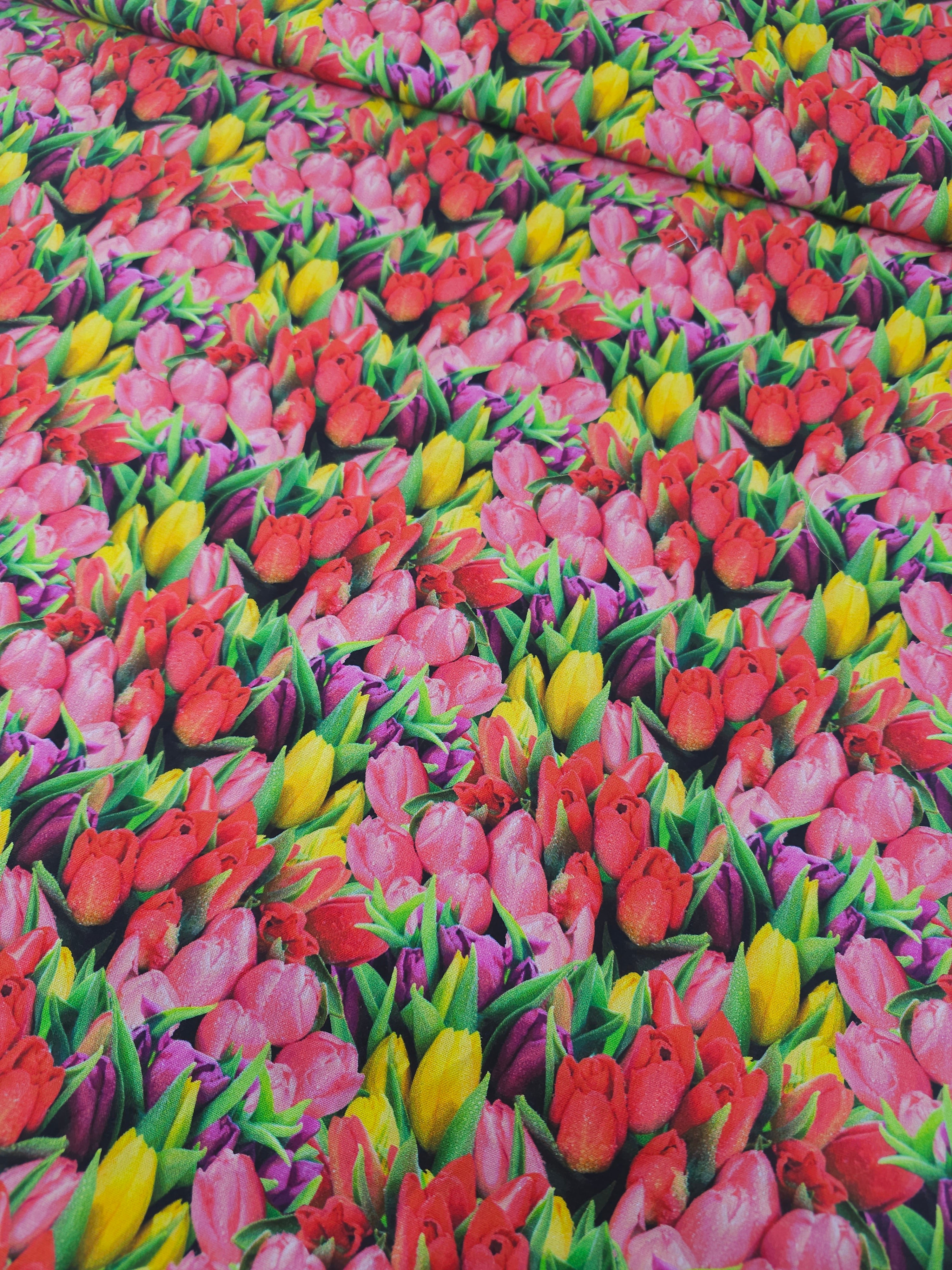 Tulip Field 100% Cotton