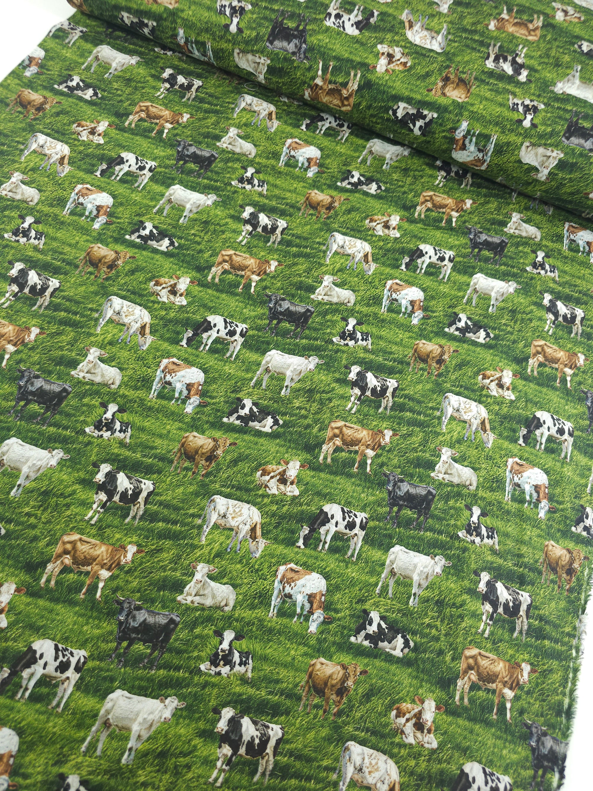 Cows On The Country Field 100% Cotton