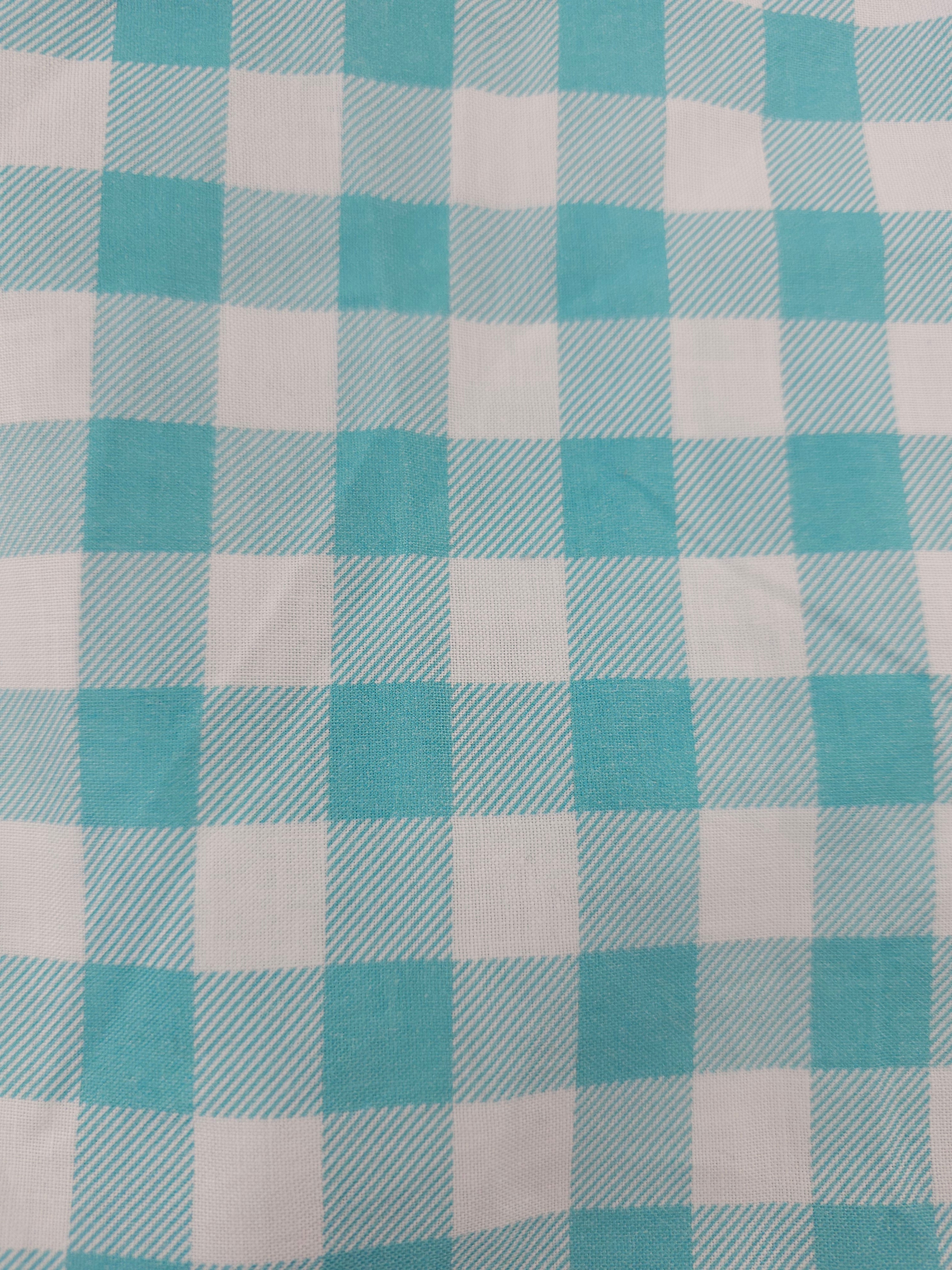 Light blue gingham Cotton- 1.9m piece