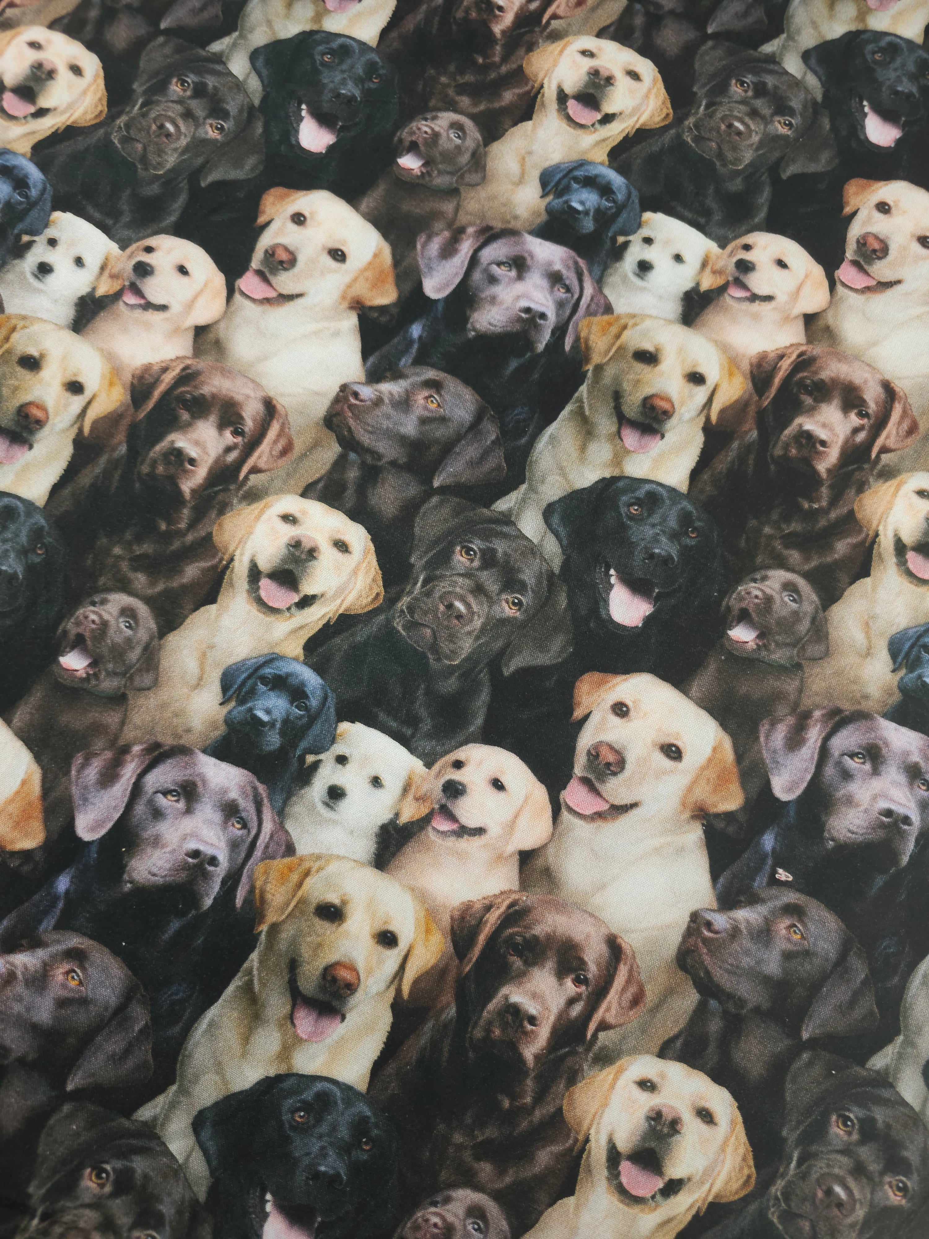Labrador Dogs 100% Cotton