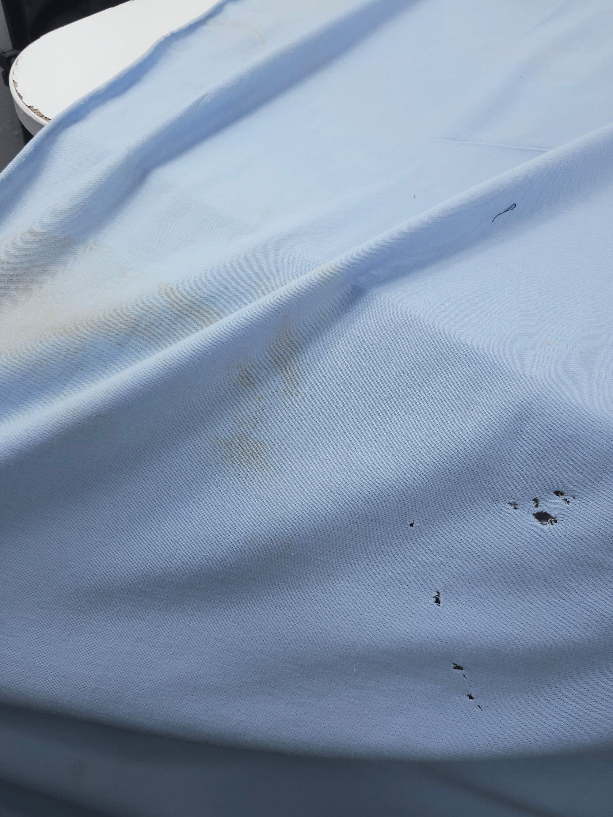 Baby Blue Loopback Terry *DEFECT*