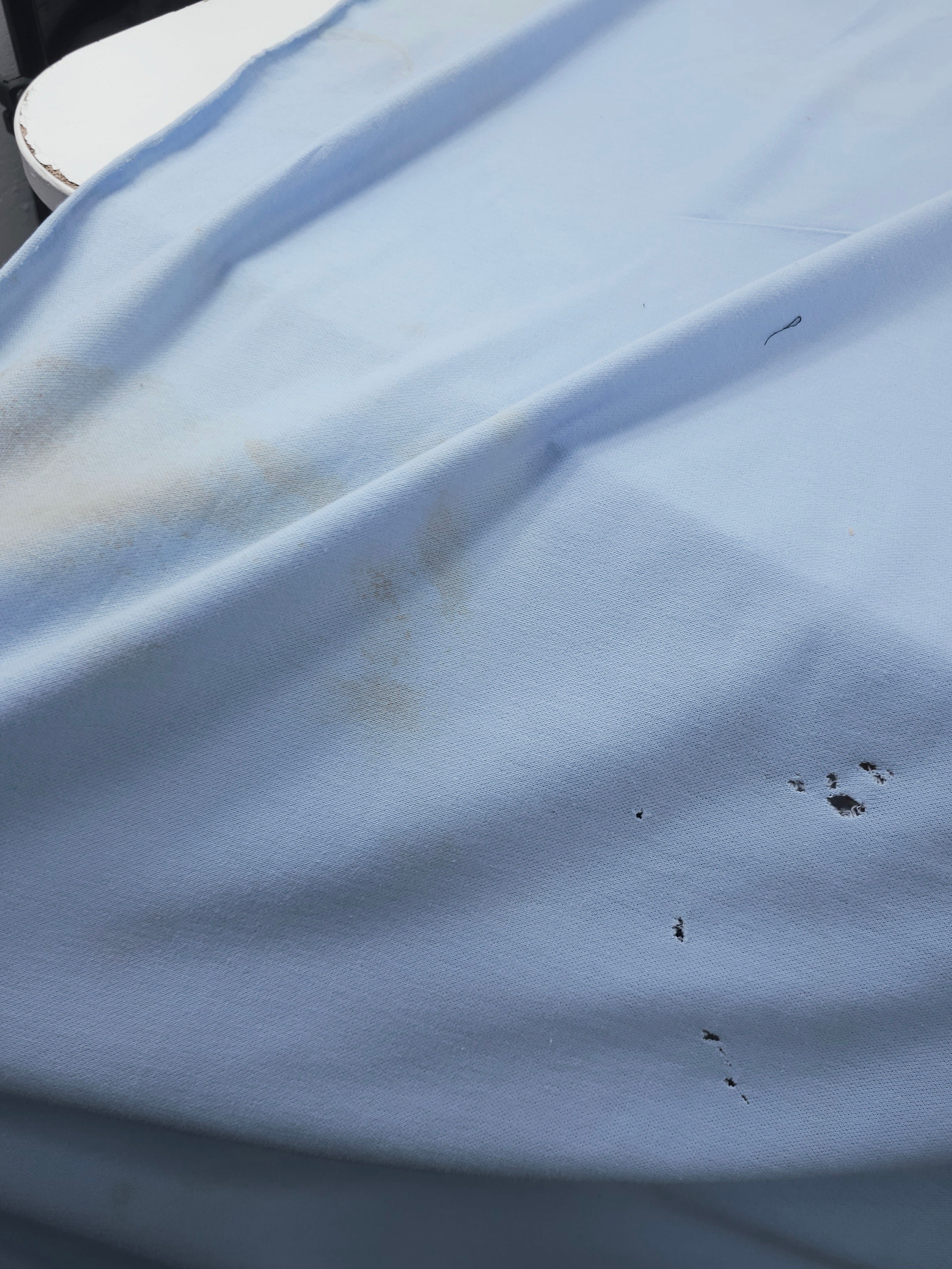 Baby Blue Loopback Terry *DEFECT*