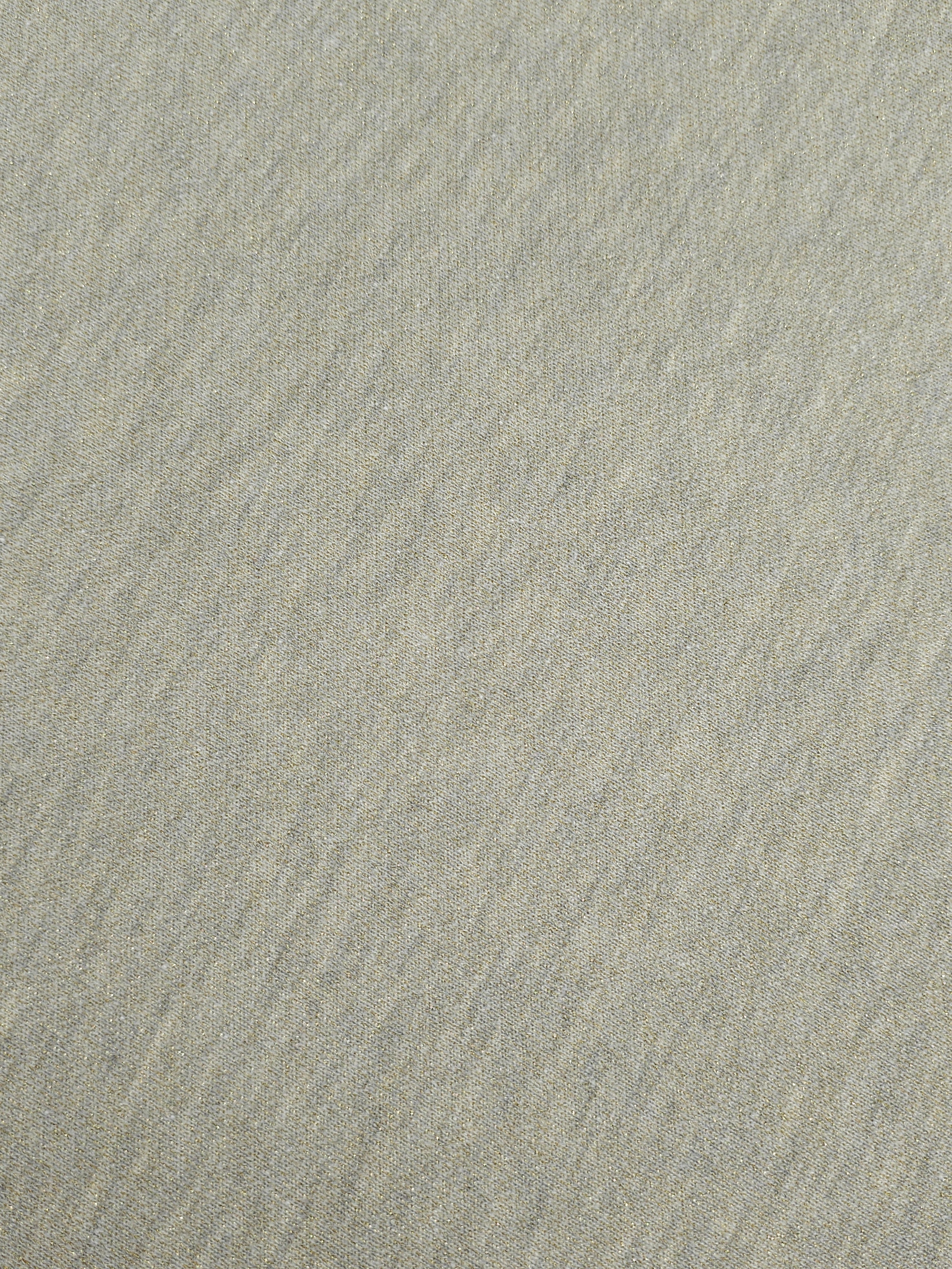 Greige/Gold Lurex Loopback Terry
