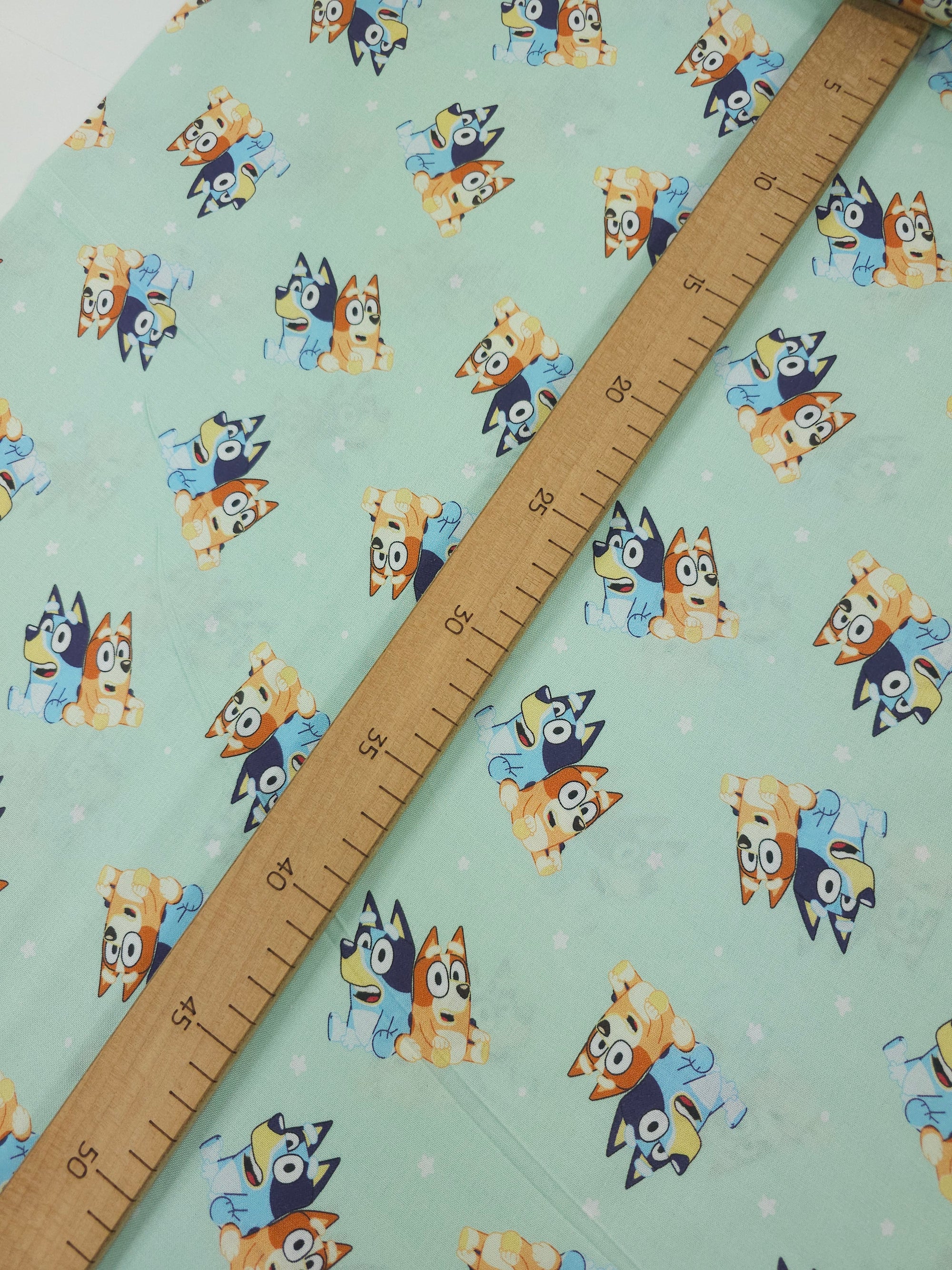 Bluey and Bingo Best Friends 100% Cotton