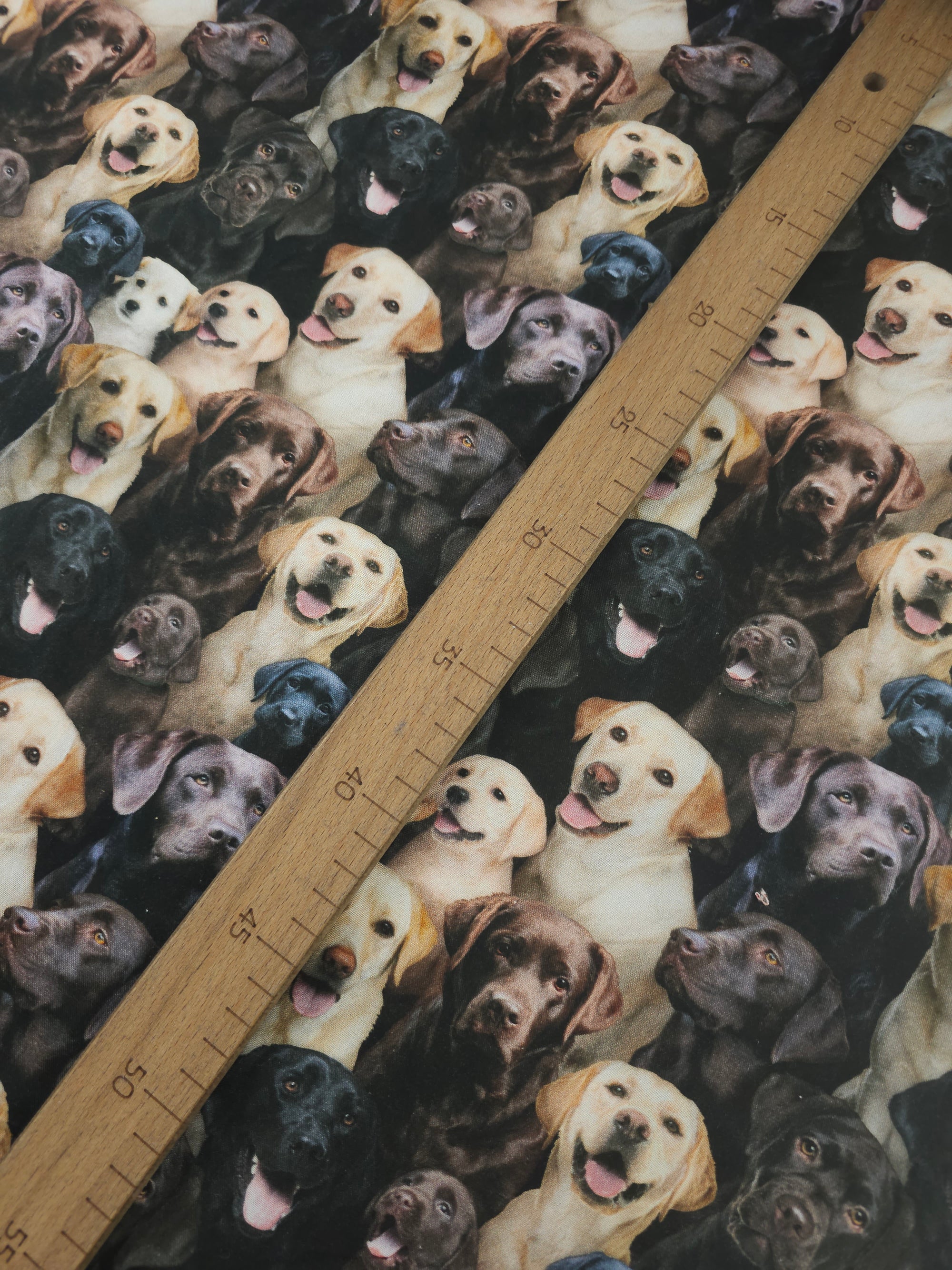 Labrador Dogs 100% Cotton