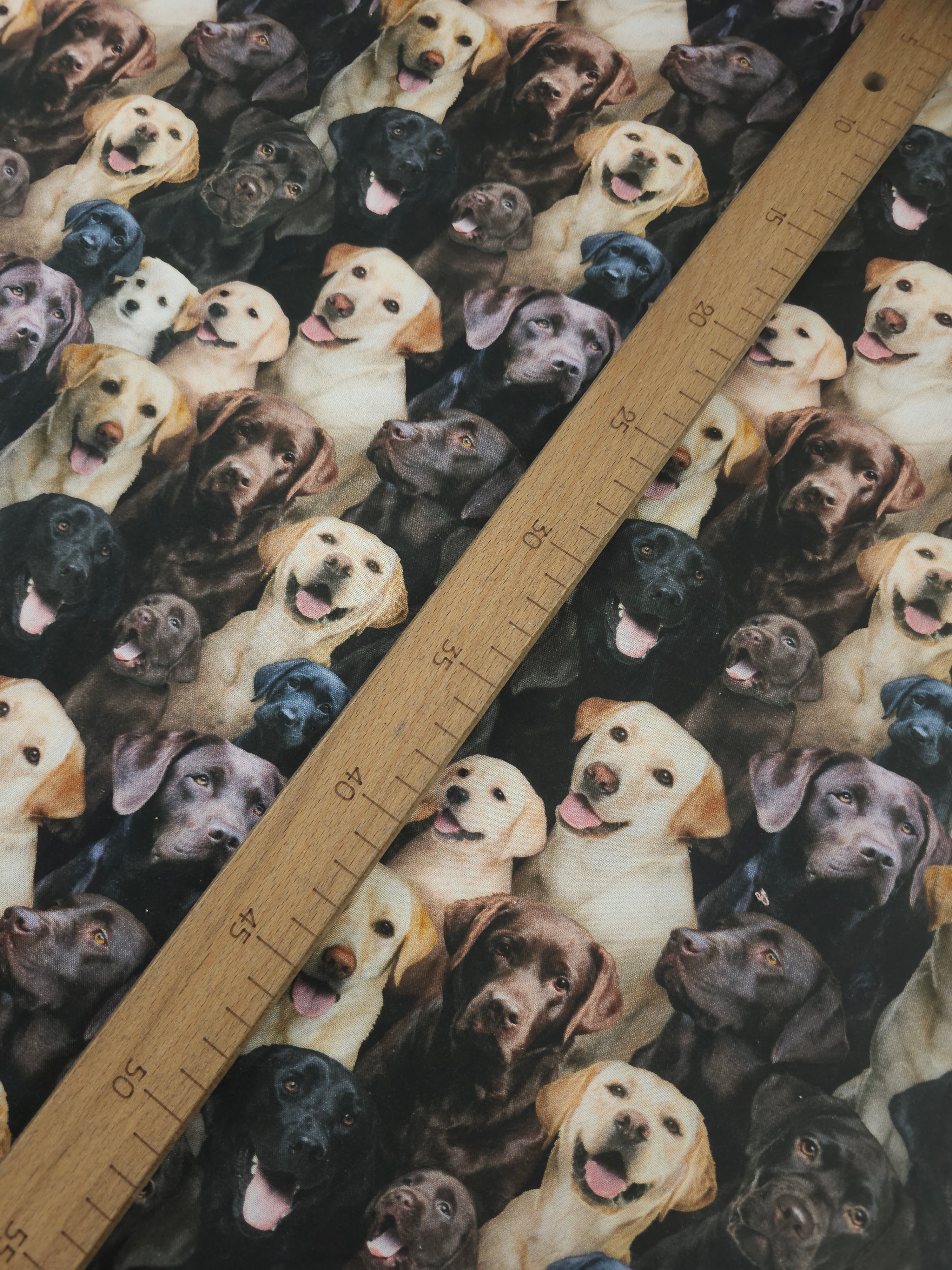 Labrador Dogs 100% Cotton