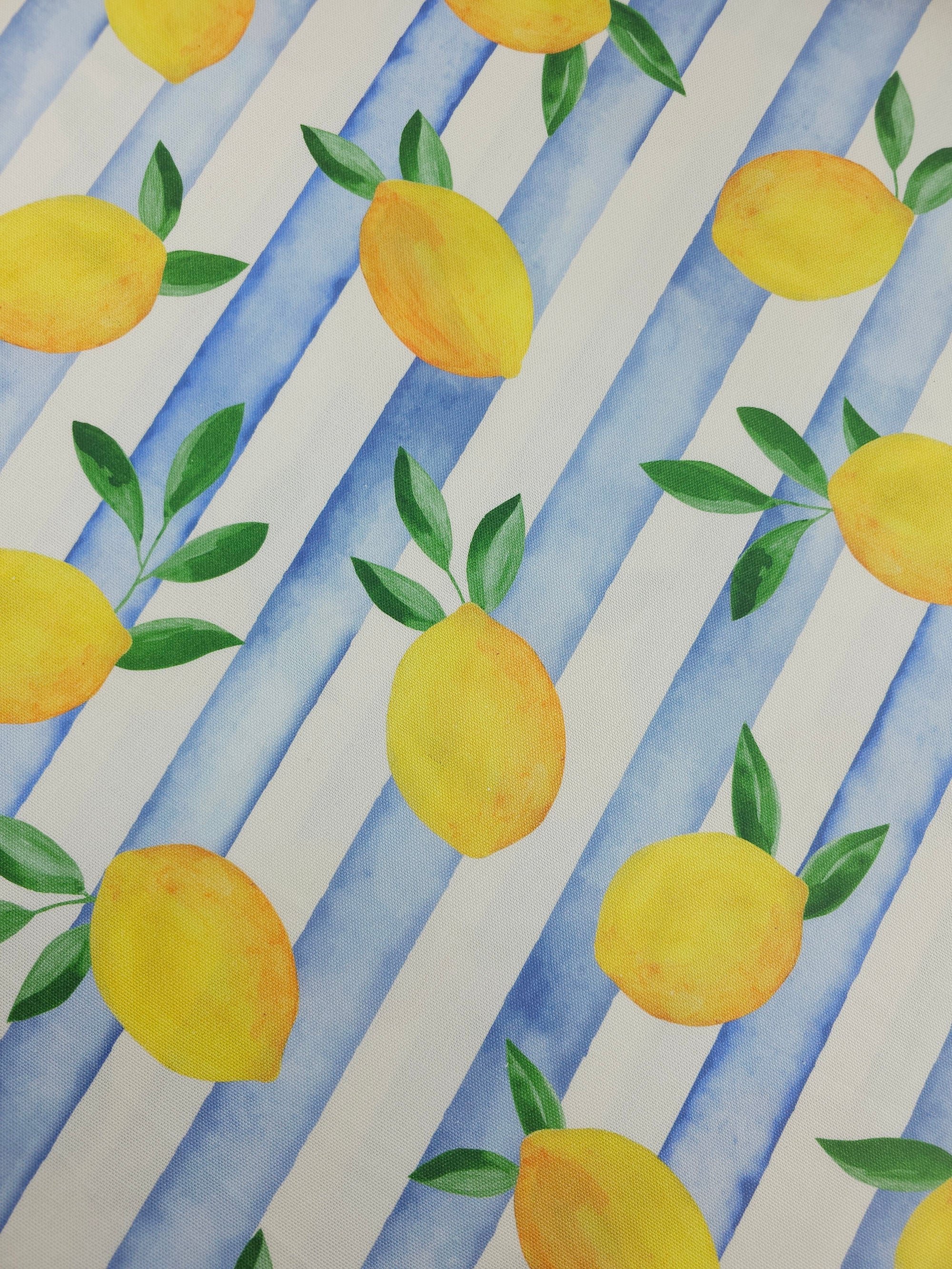 Falling Lemons Block Stripe Lightweight Canvas Cotton