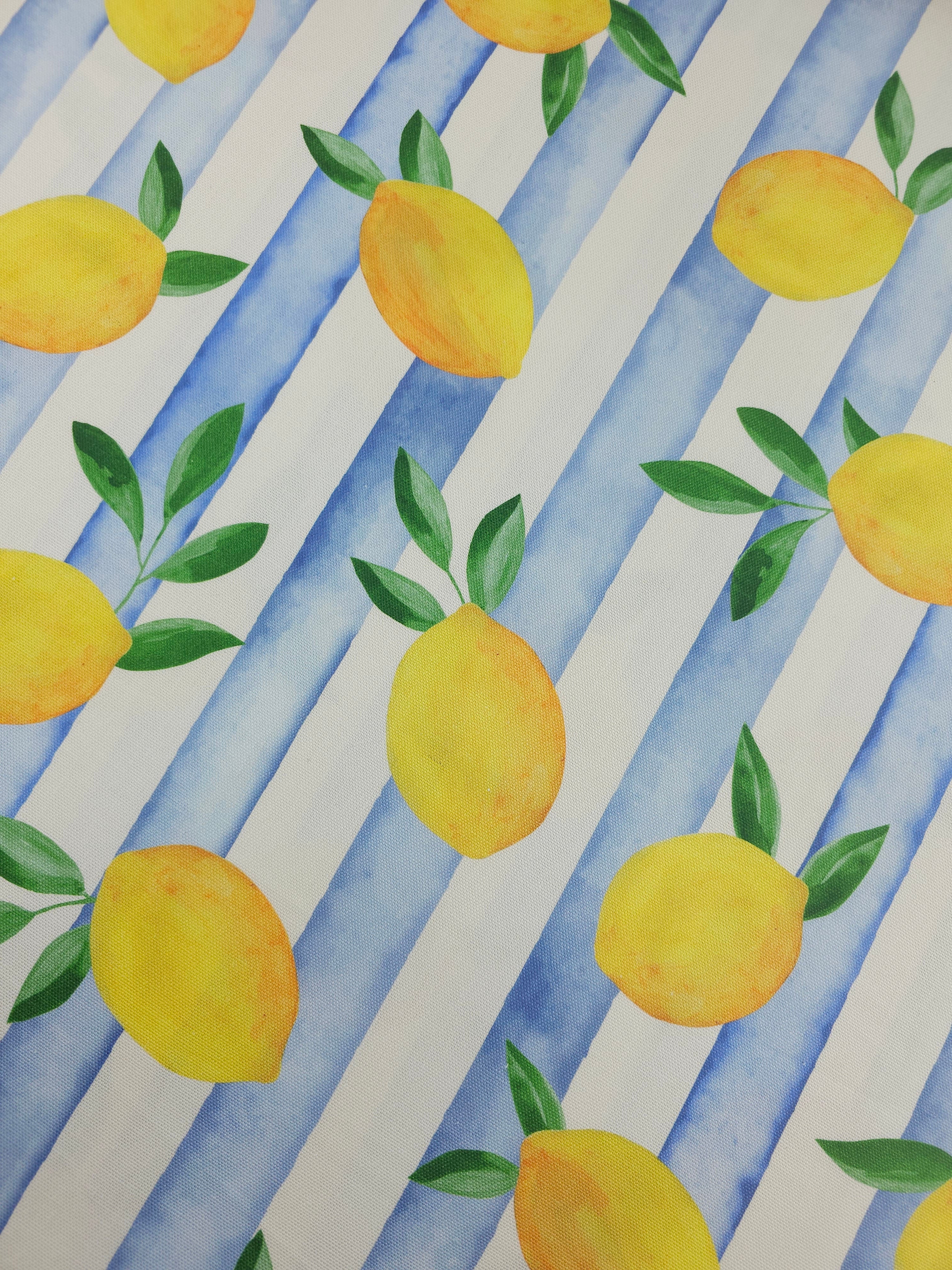 Falling Lemons Block Stripe Lightweight Canvas Cotton