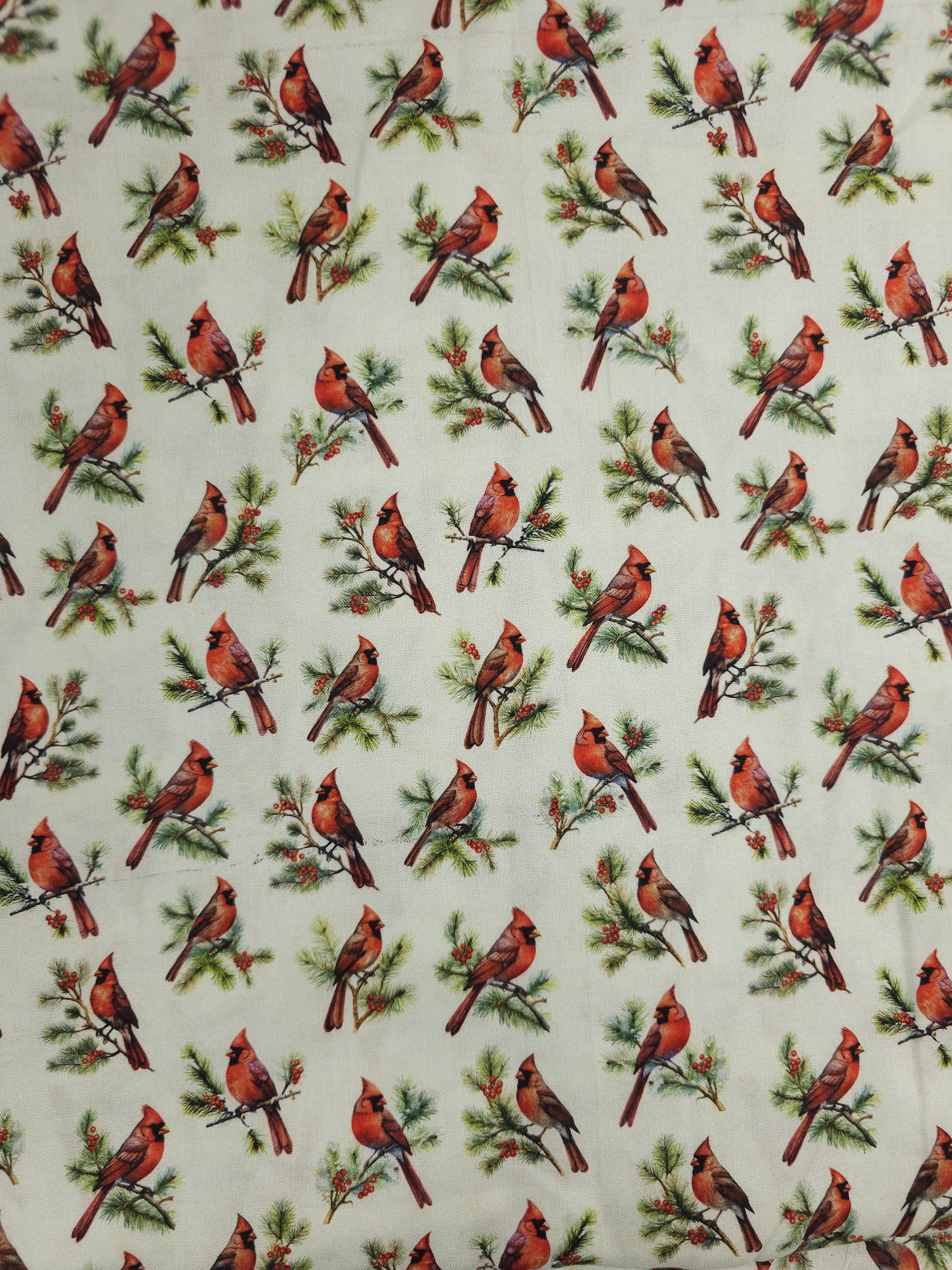 Winter Cardinals Cotton - 2m Piece