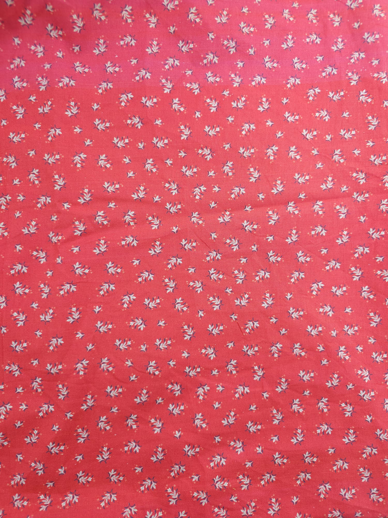 Abbeywood Floral Cotton - 1.6m Piece