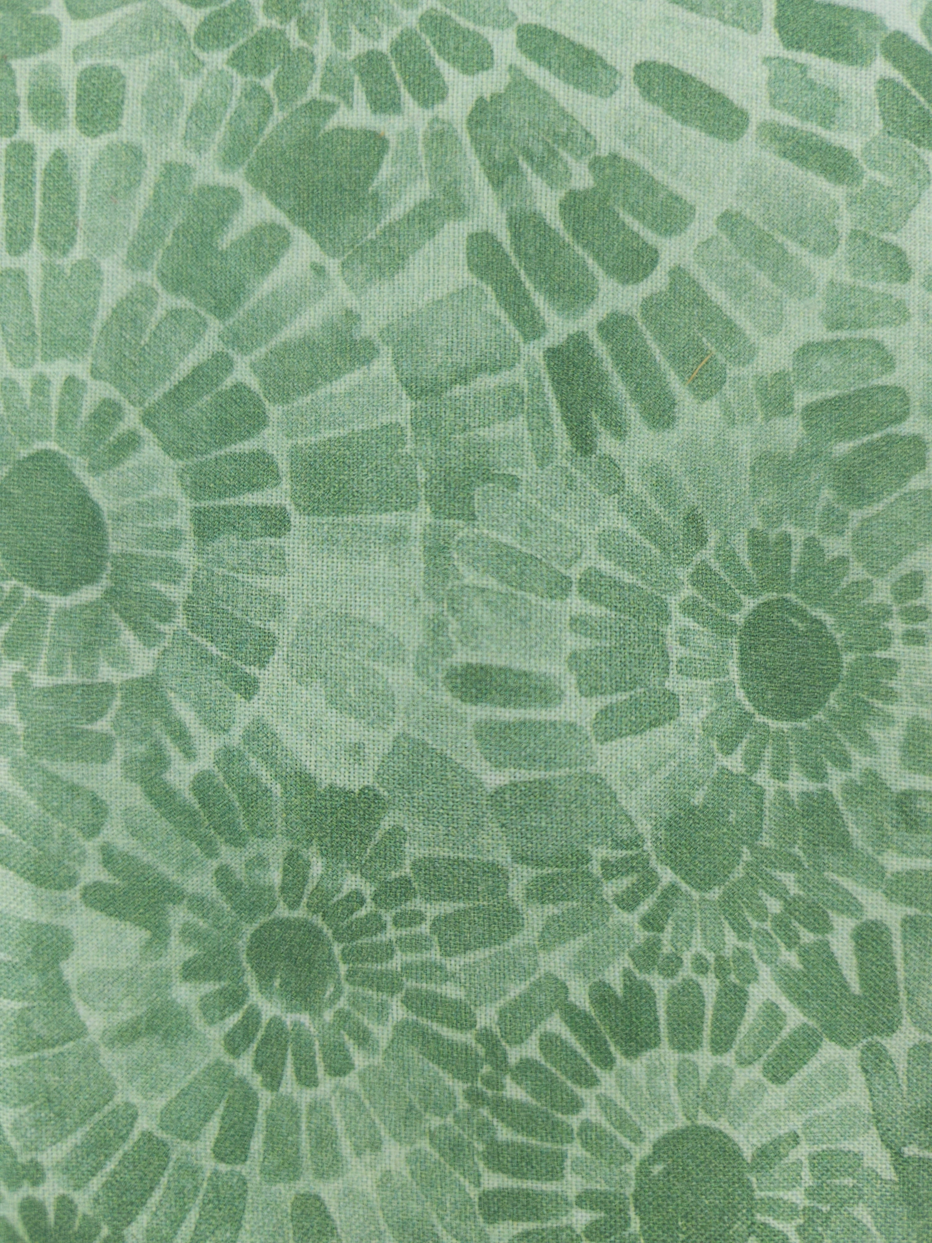 Sage circles Cotton- 1m piece