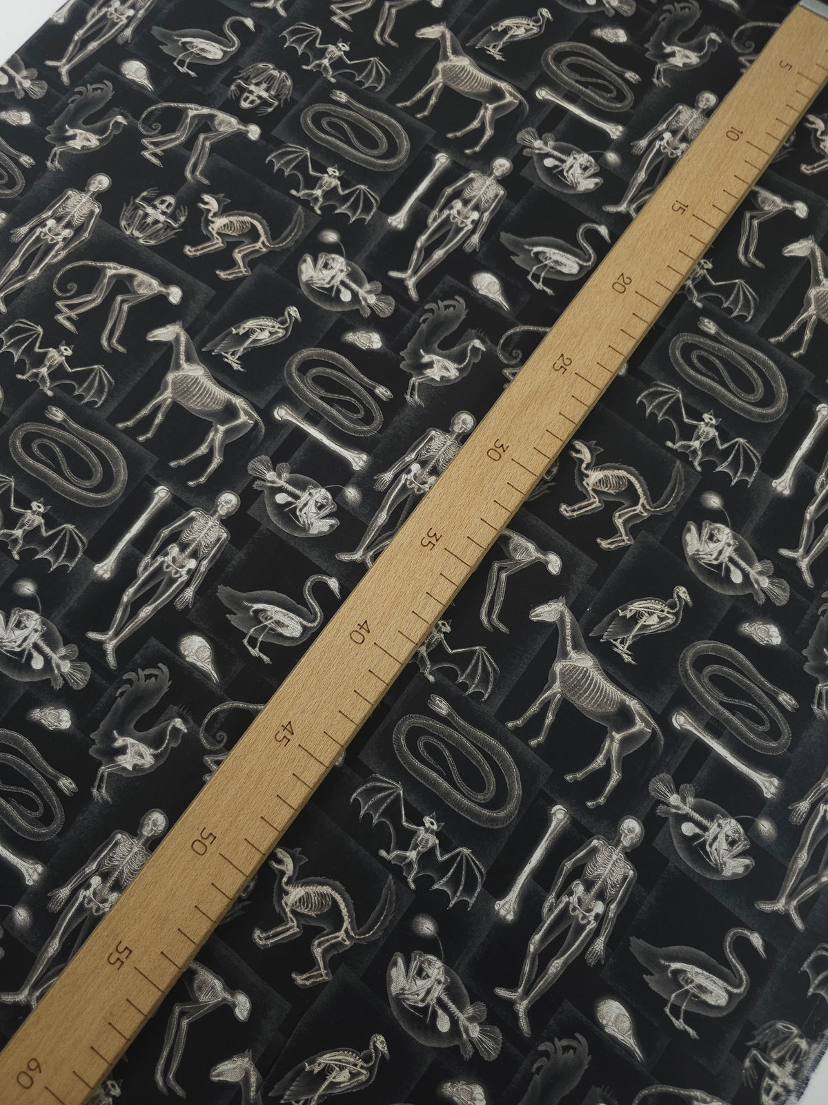 Spooky Skeletal X-Ray 100% Cotton