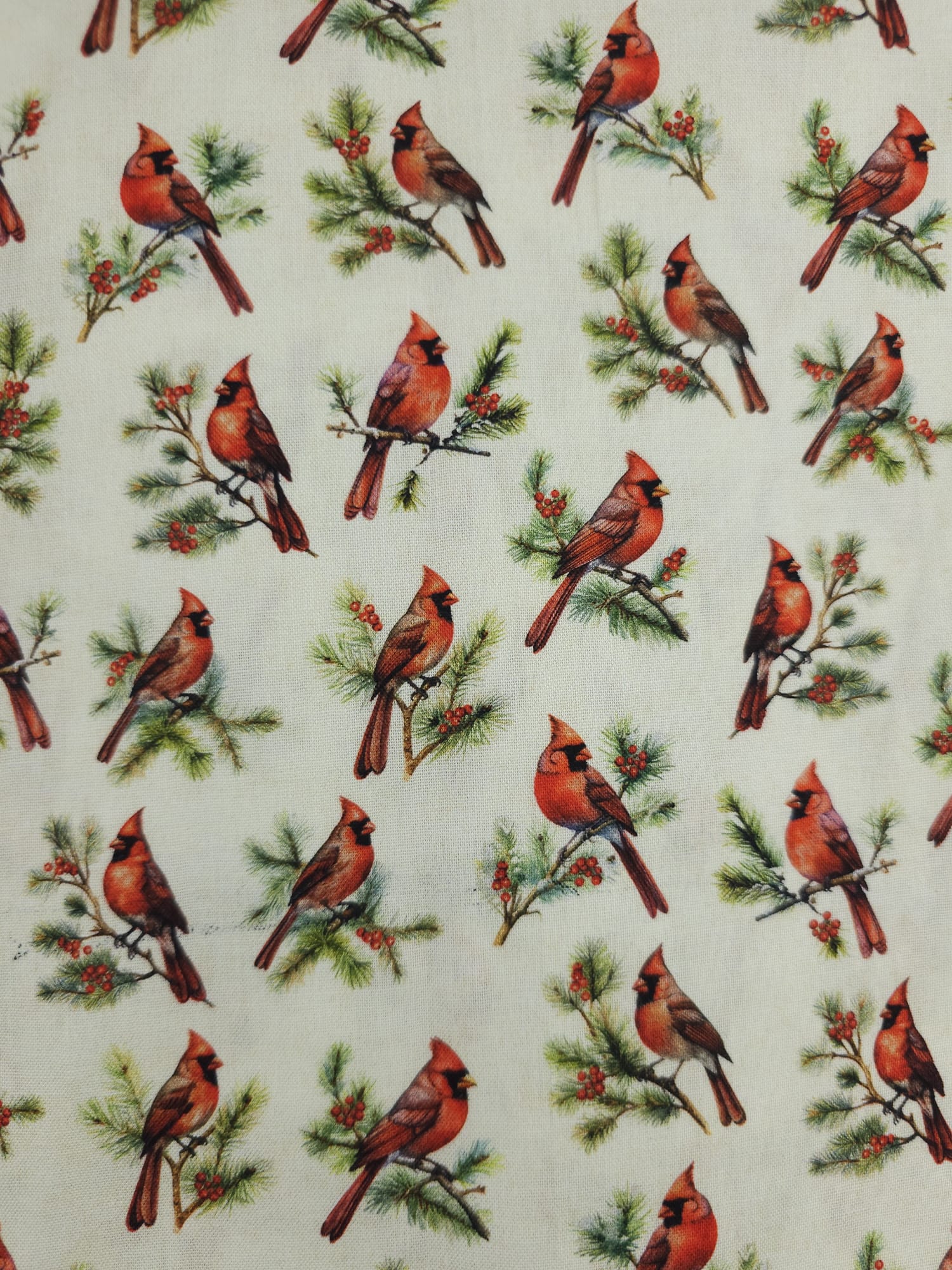 Winter Cardinals Cotton - 2m Piece
