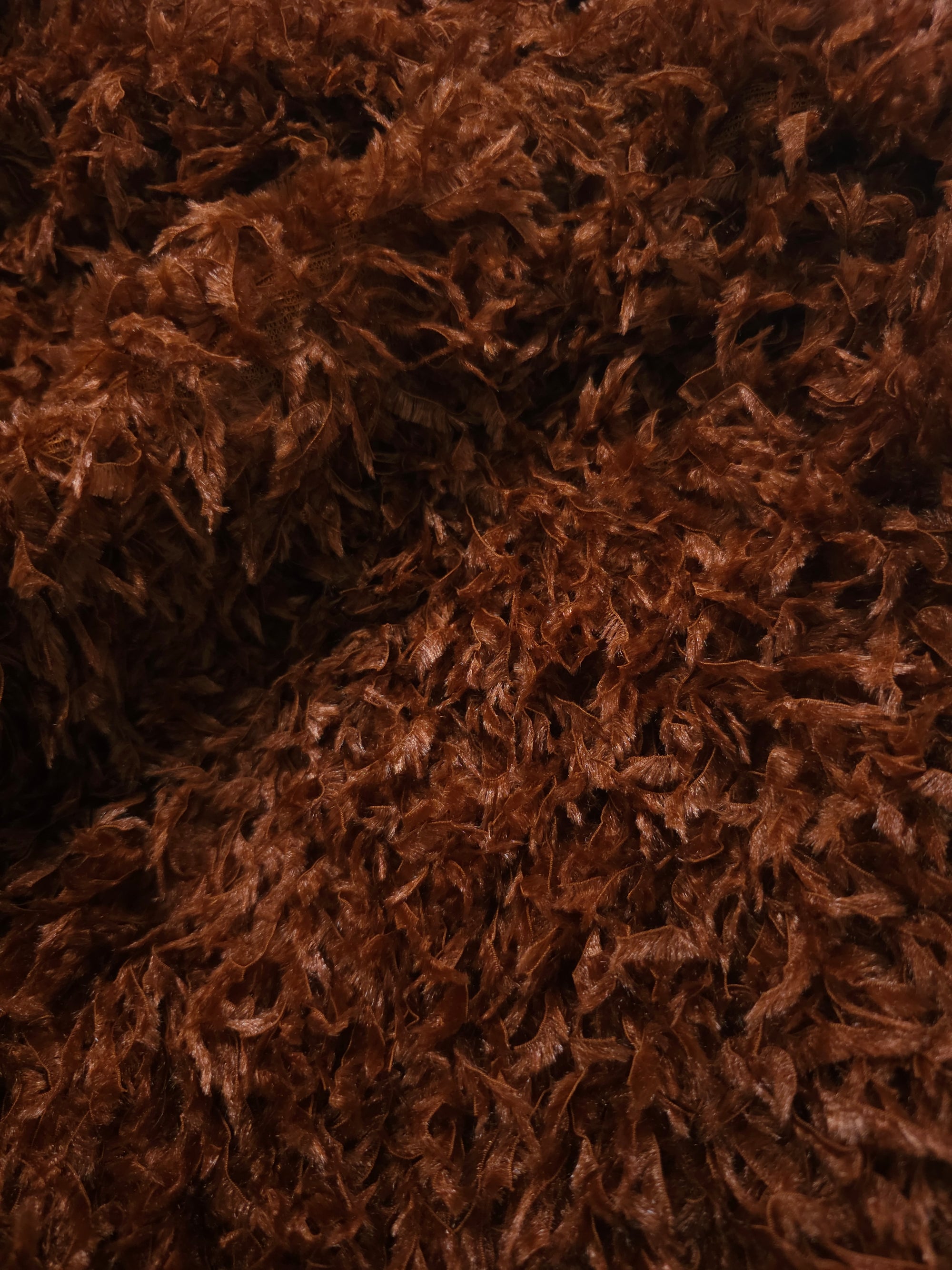 Bronze Shaggy Feather