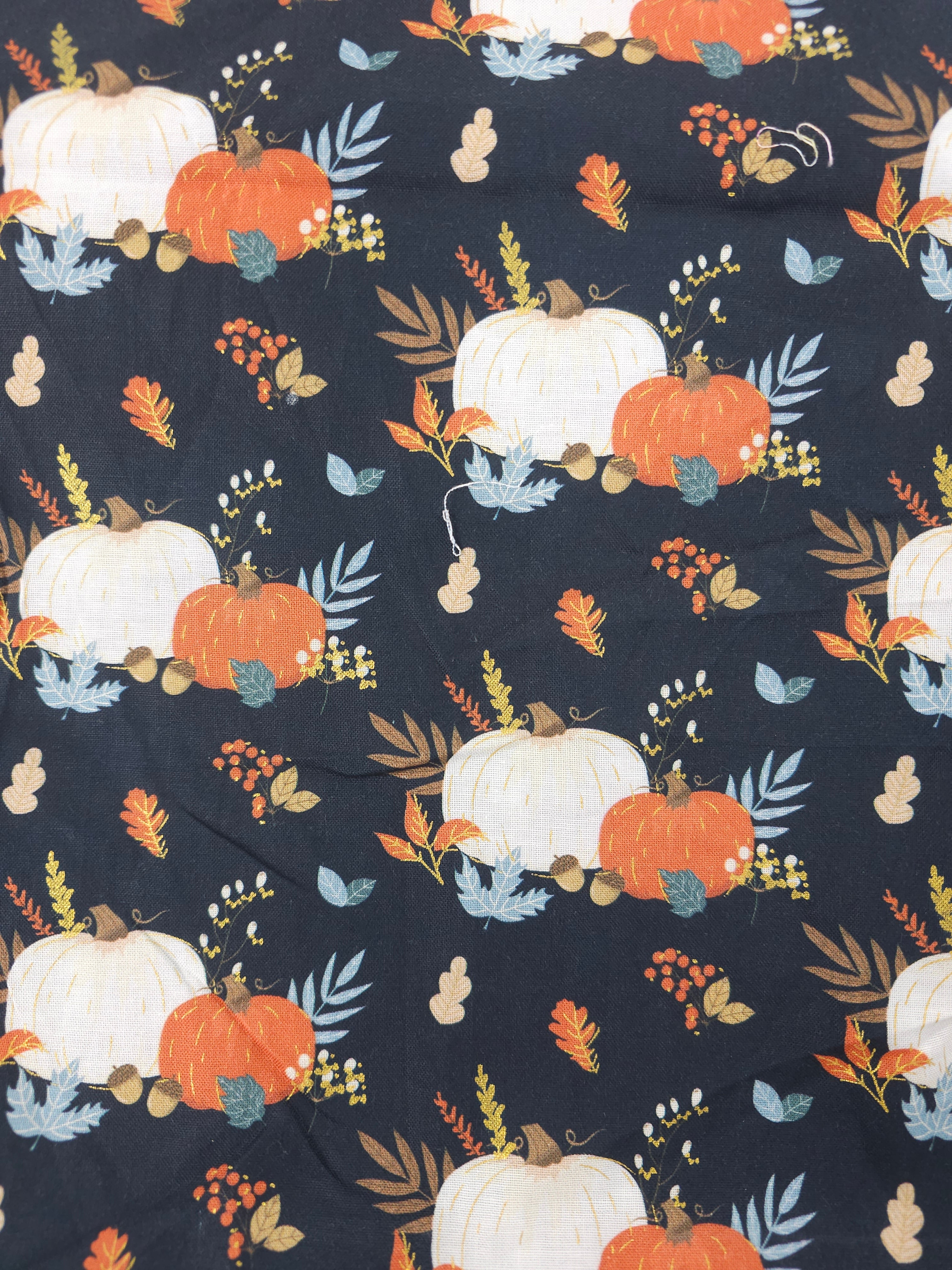 Whimsy pumpkin Cotton- 2m piece