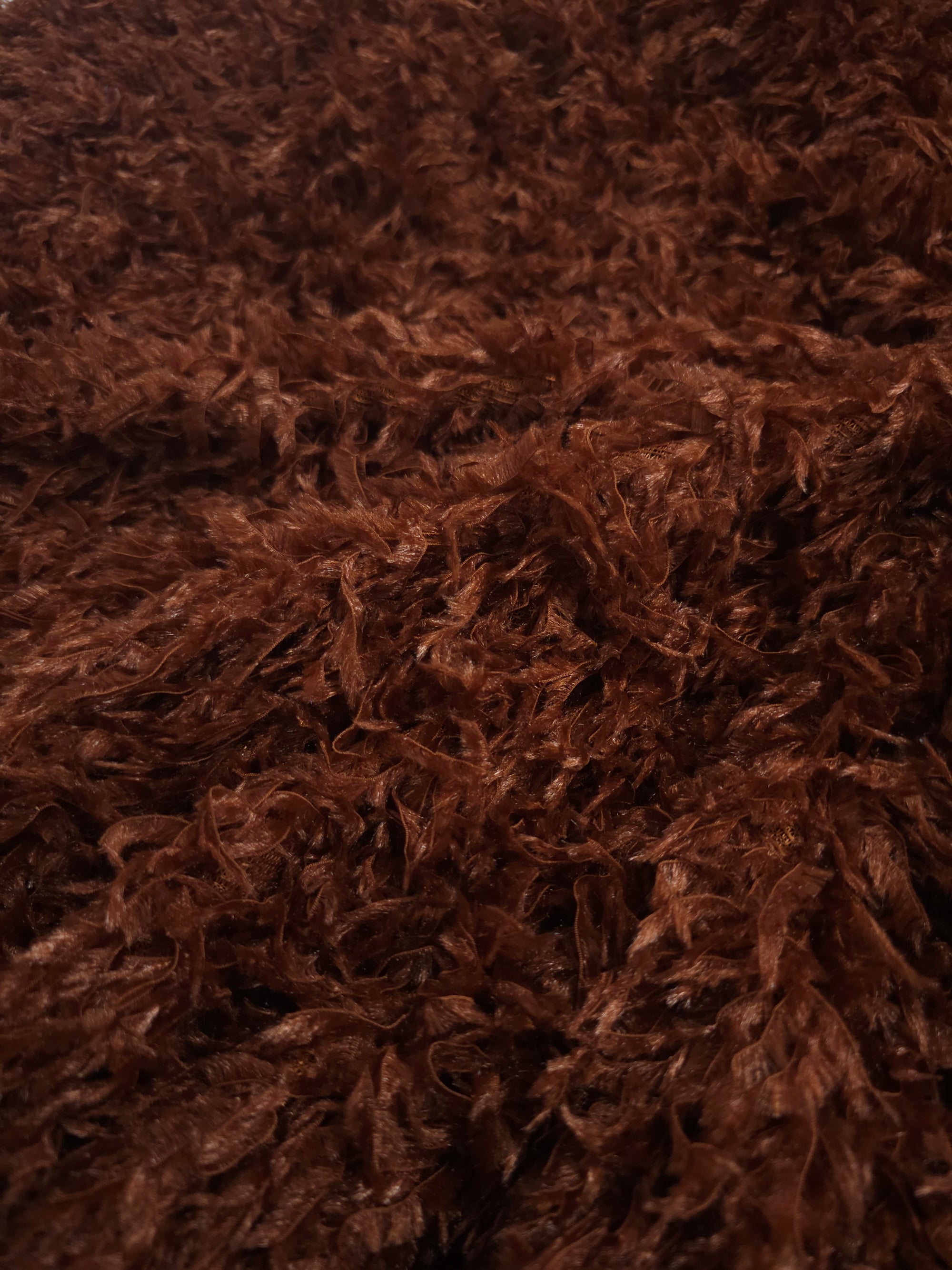 Bronze Shaggy Feather
