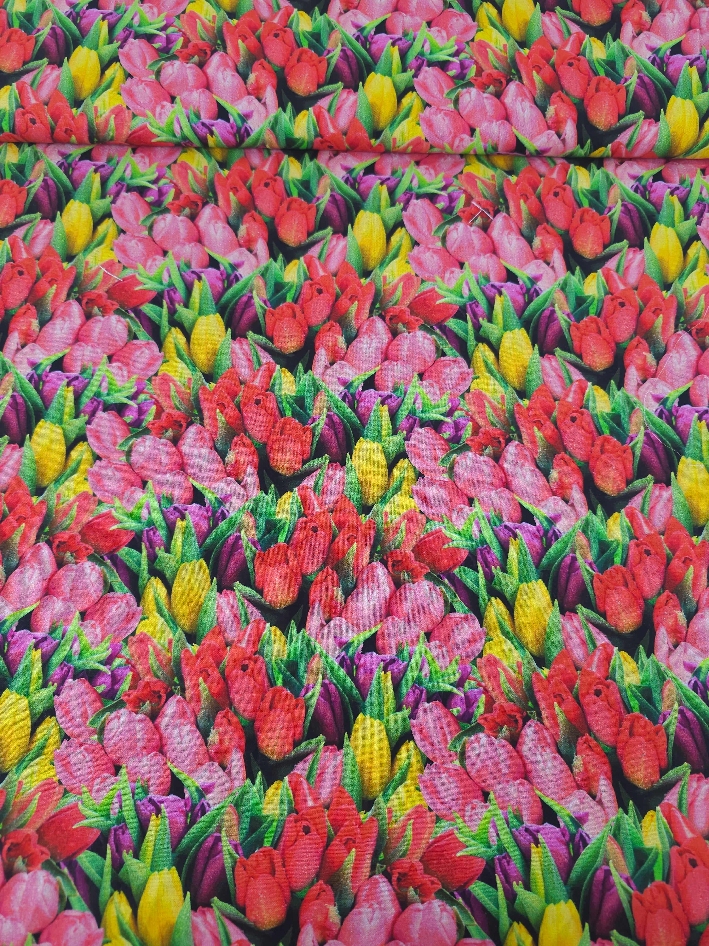 Tulip Field 100% Cotton