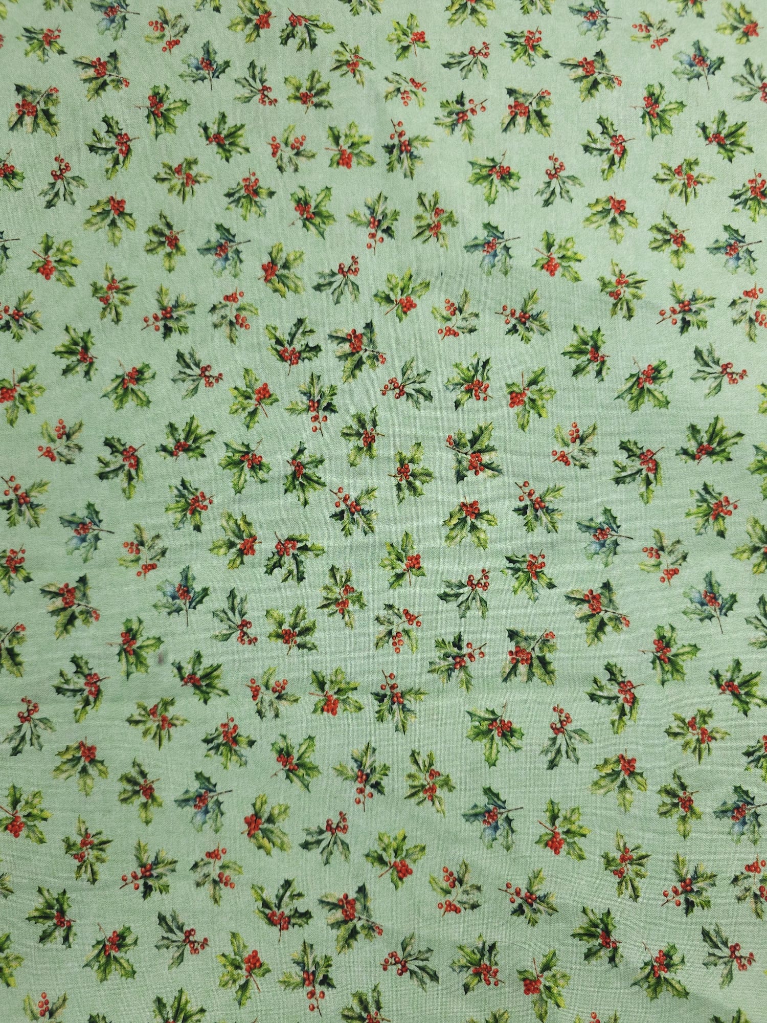 Holly Green Cotton - 1m Piece