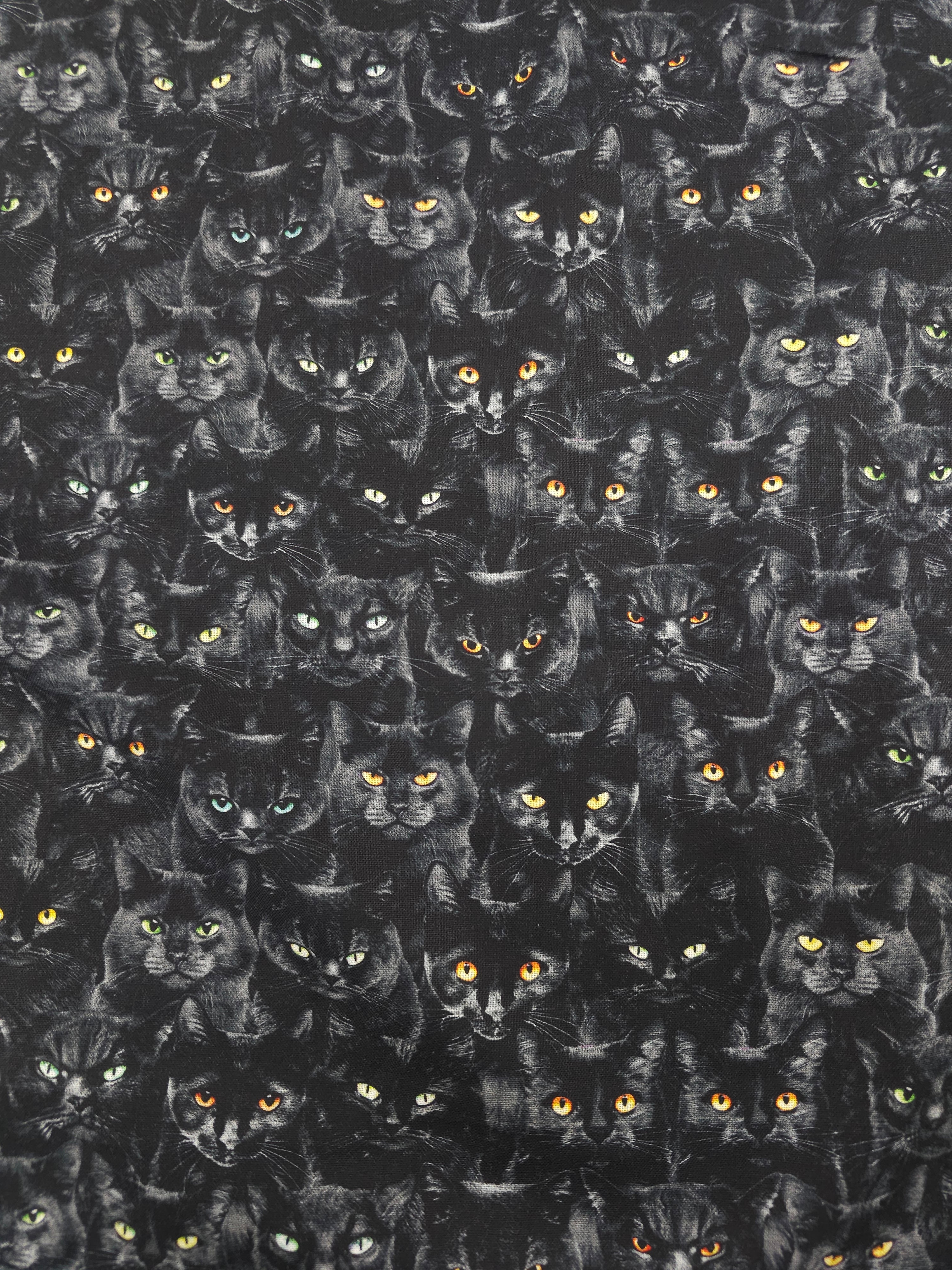 Black cat Cotton- 1.6m piece