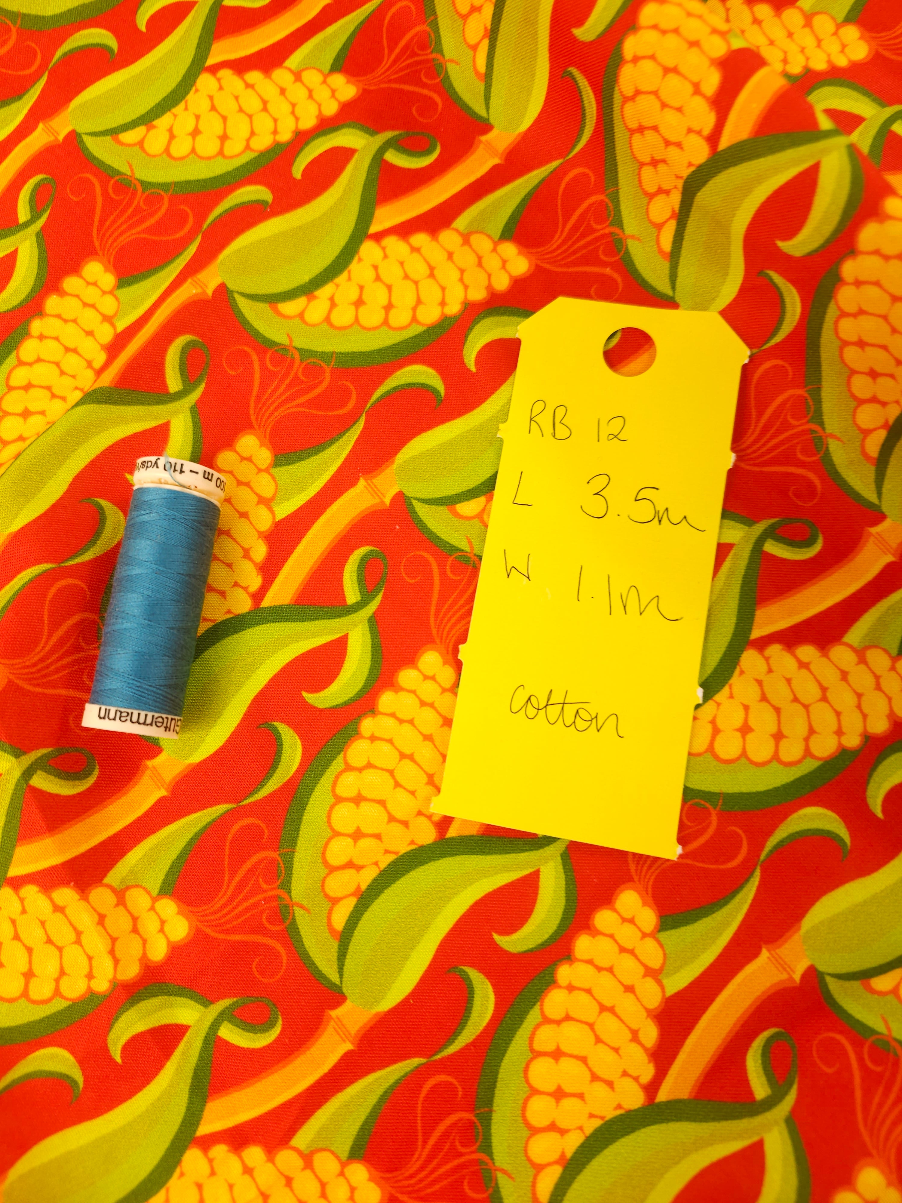 Corn on the cob Cotton- 3.5m piece