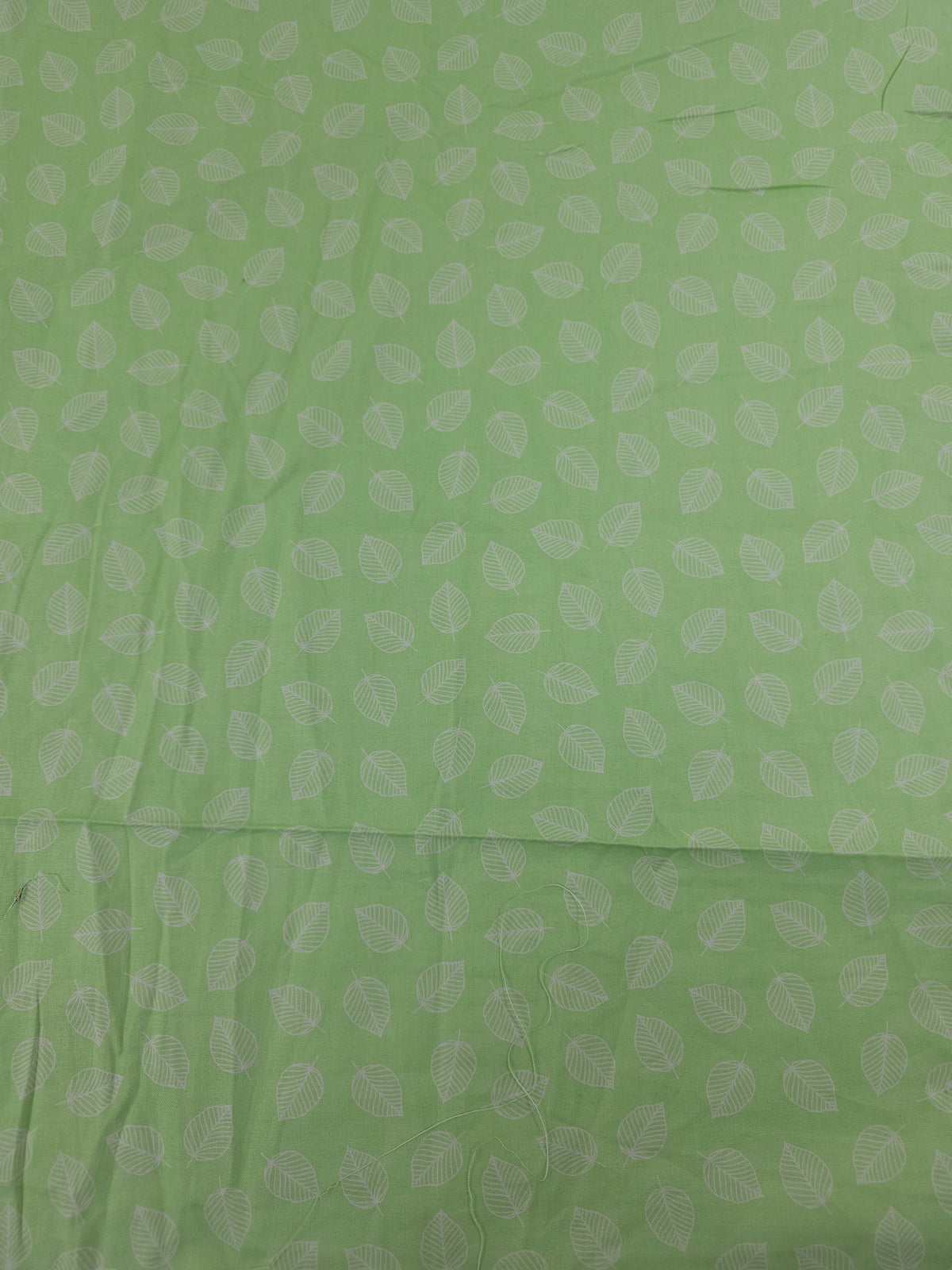 Apple green leaf Cotton (Various Sizes)