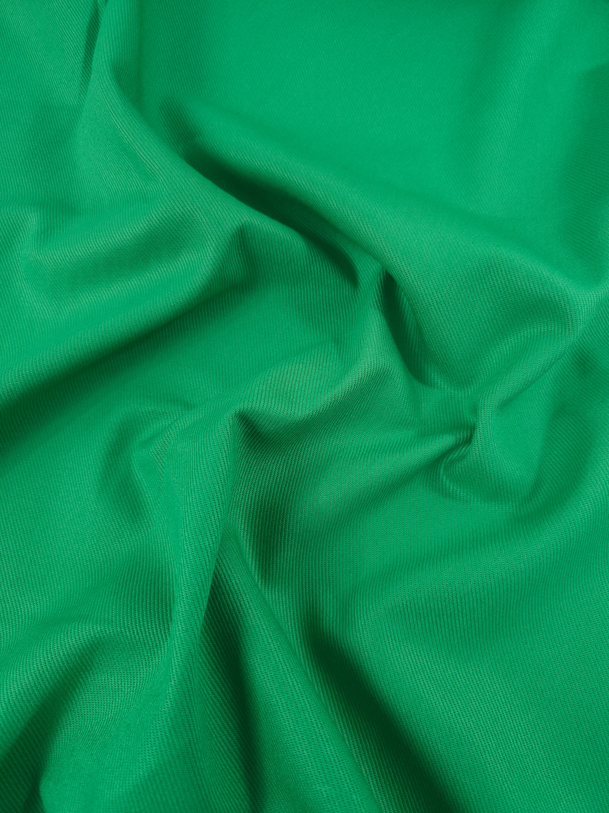 Parakeet Green Twill Denim