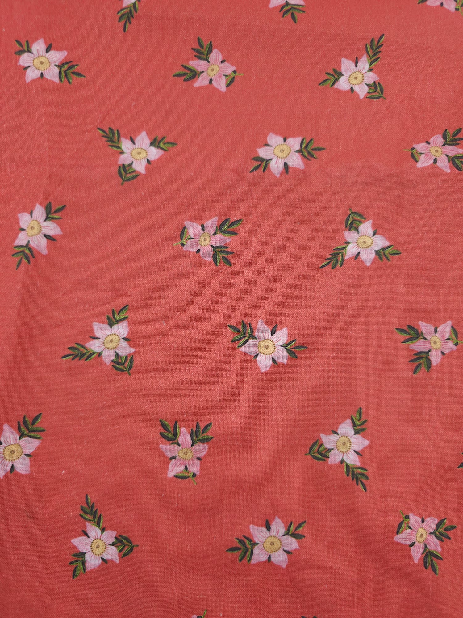 Red Blossoms Field Trip Cotton - 2m piece