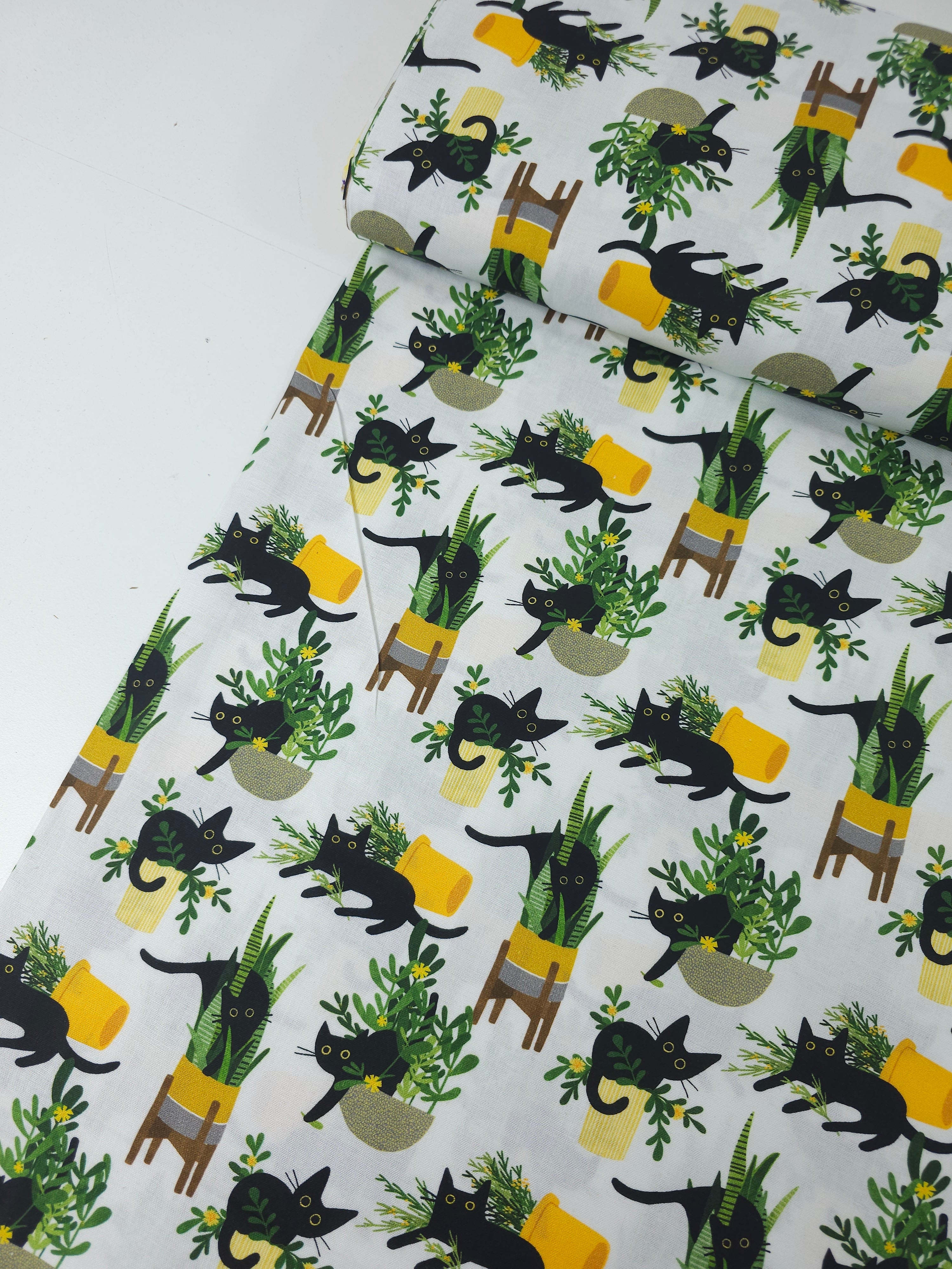 House Cat 100% Cotton