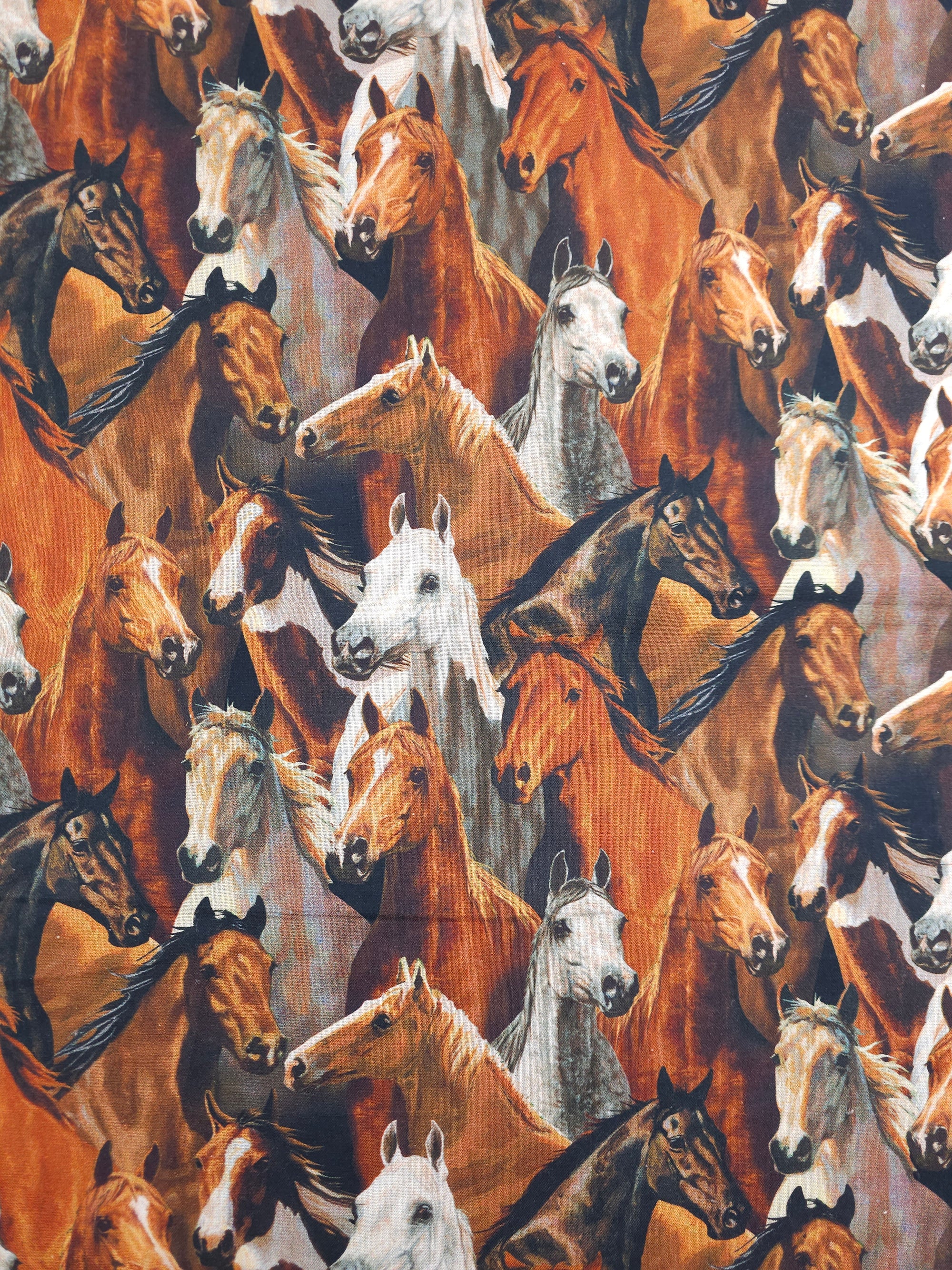 Packed Horses Cotton - (Various Sizes)