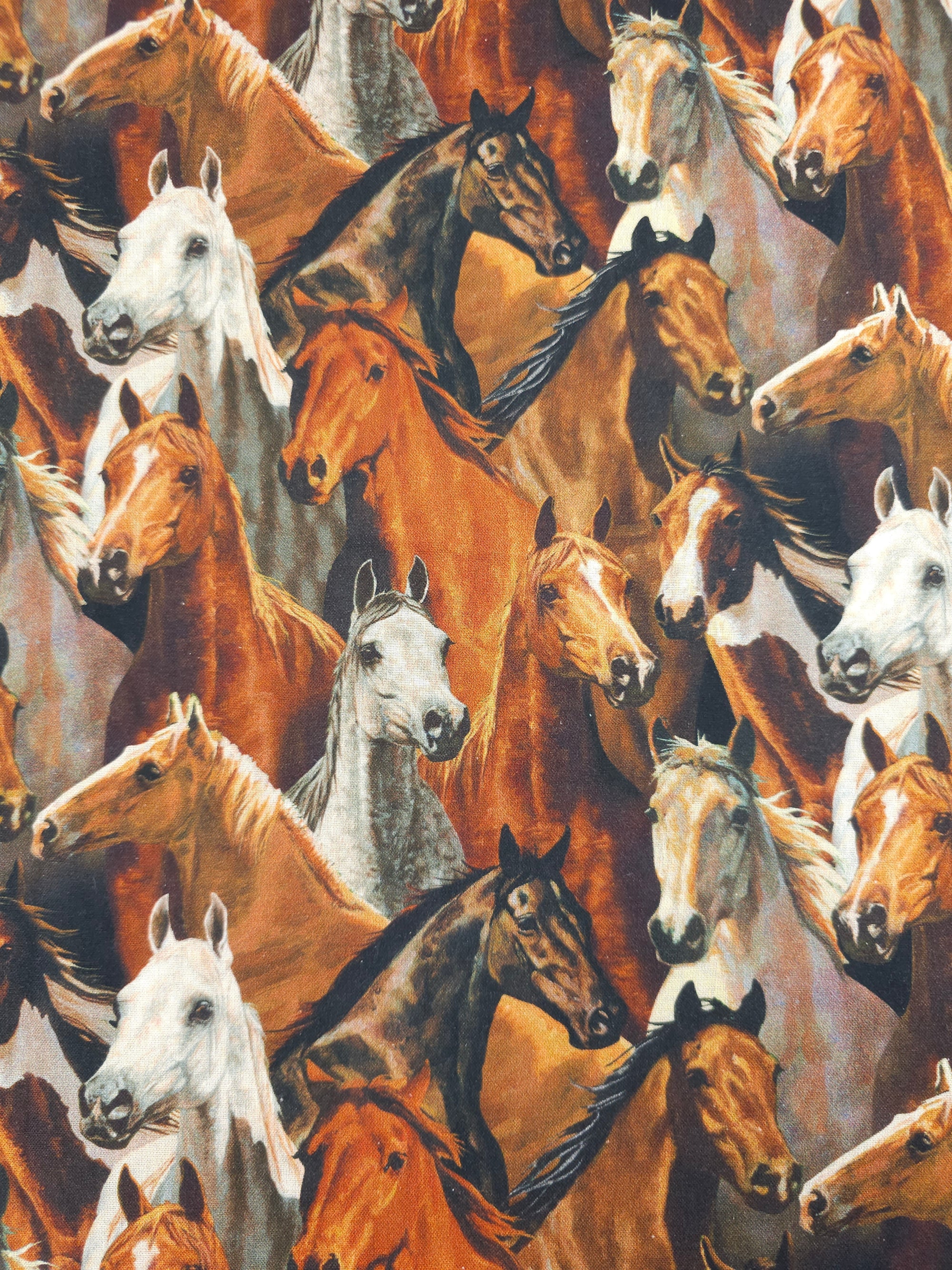 Horse Kingdom 100% Cotton
