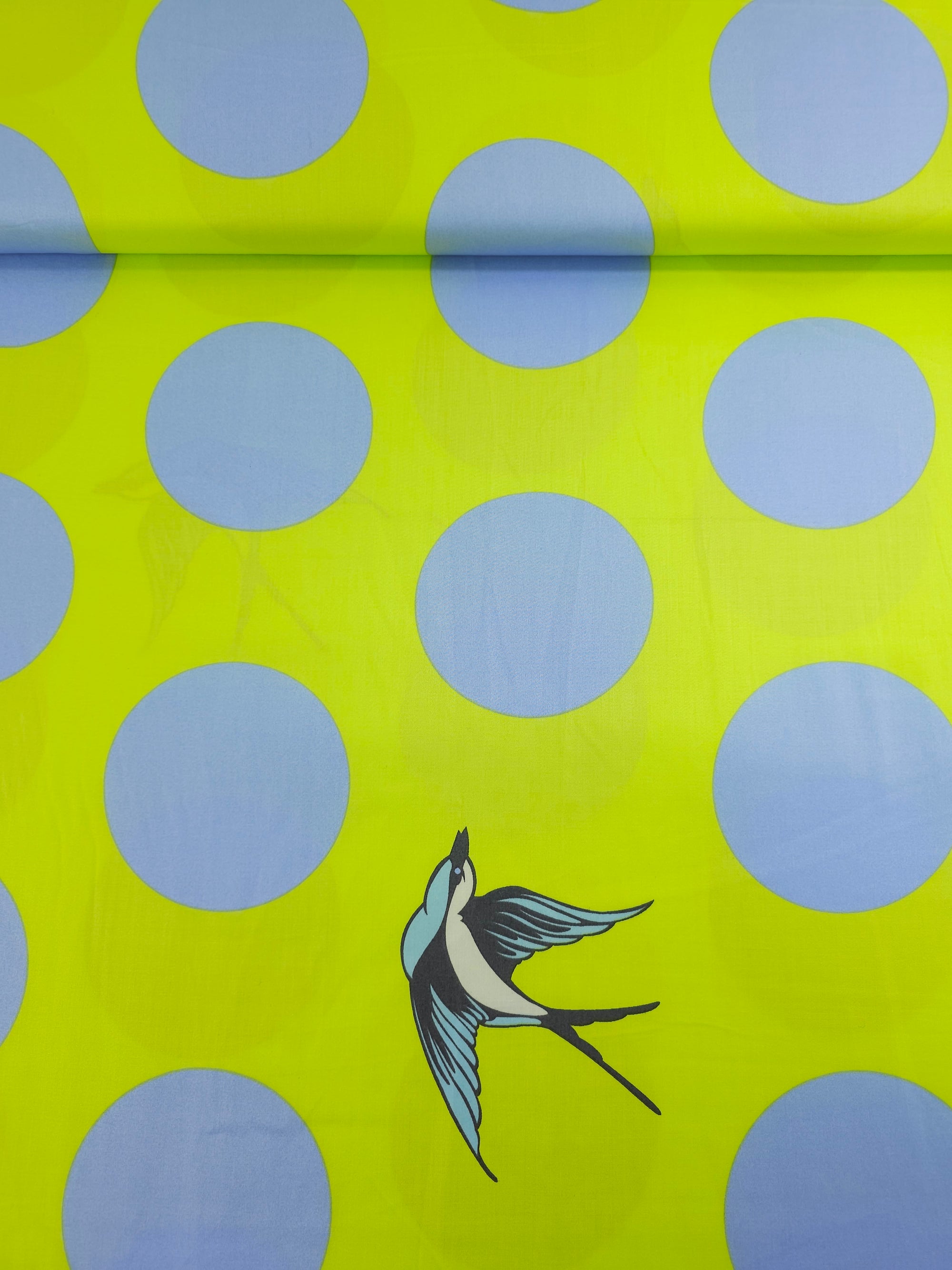 Lime/Baby Blue Free Fall Bird Polka Cotton Sateen 103" - Tula Pink *EXTRA WIDE*