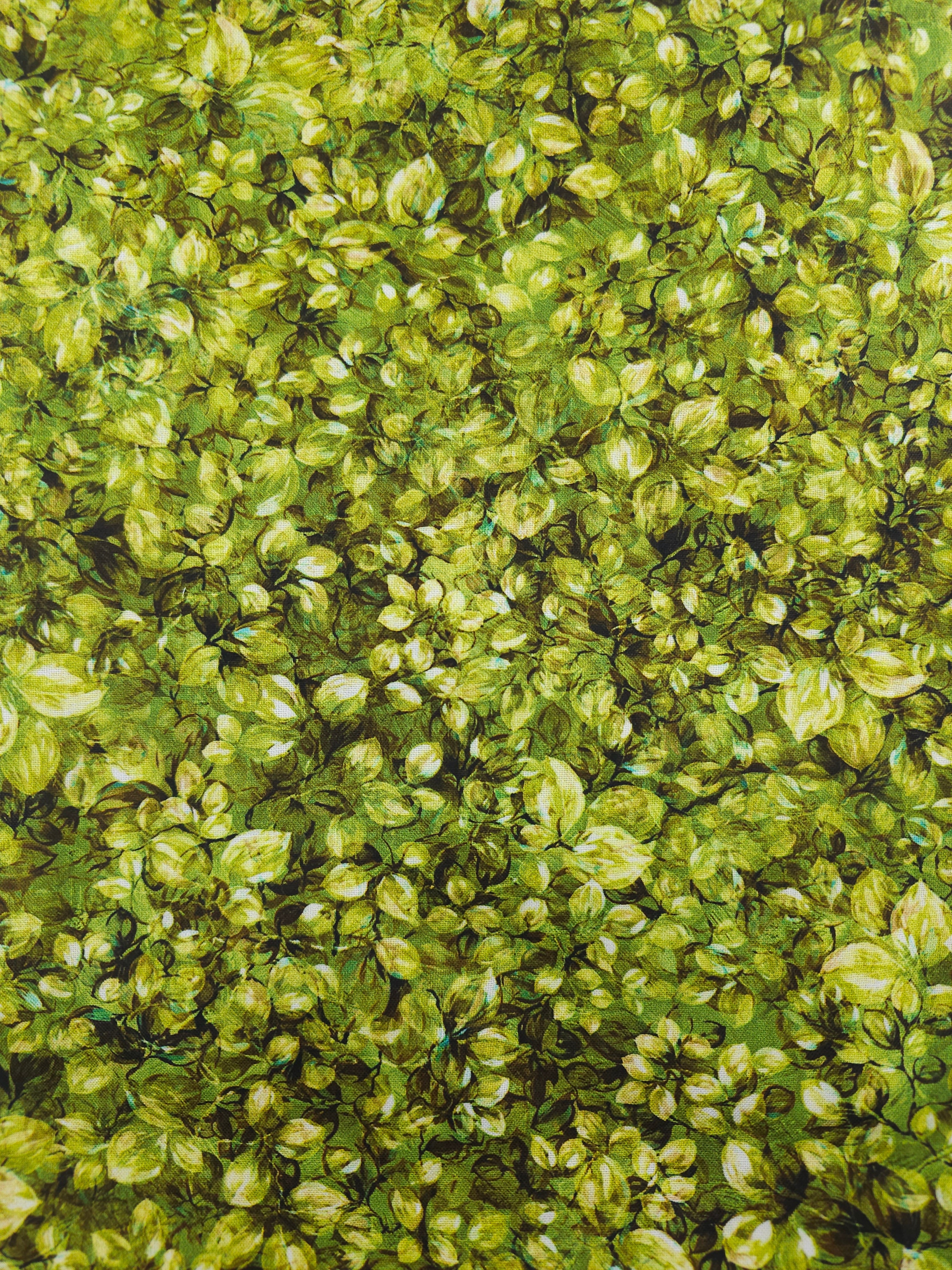 Lime leaf Cotton- 2.7m piece