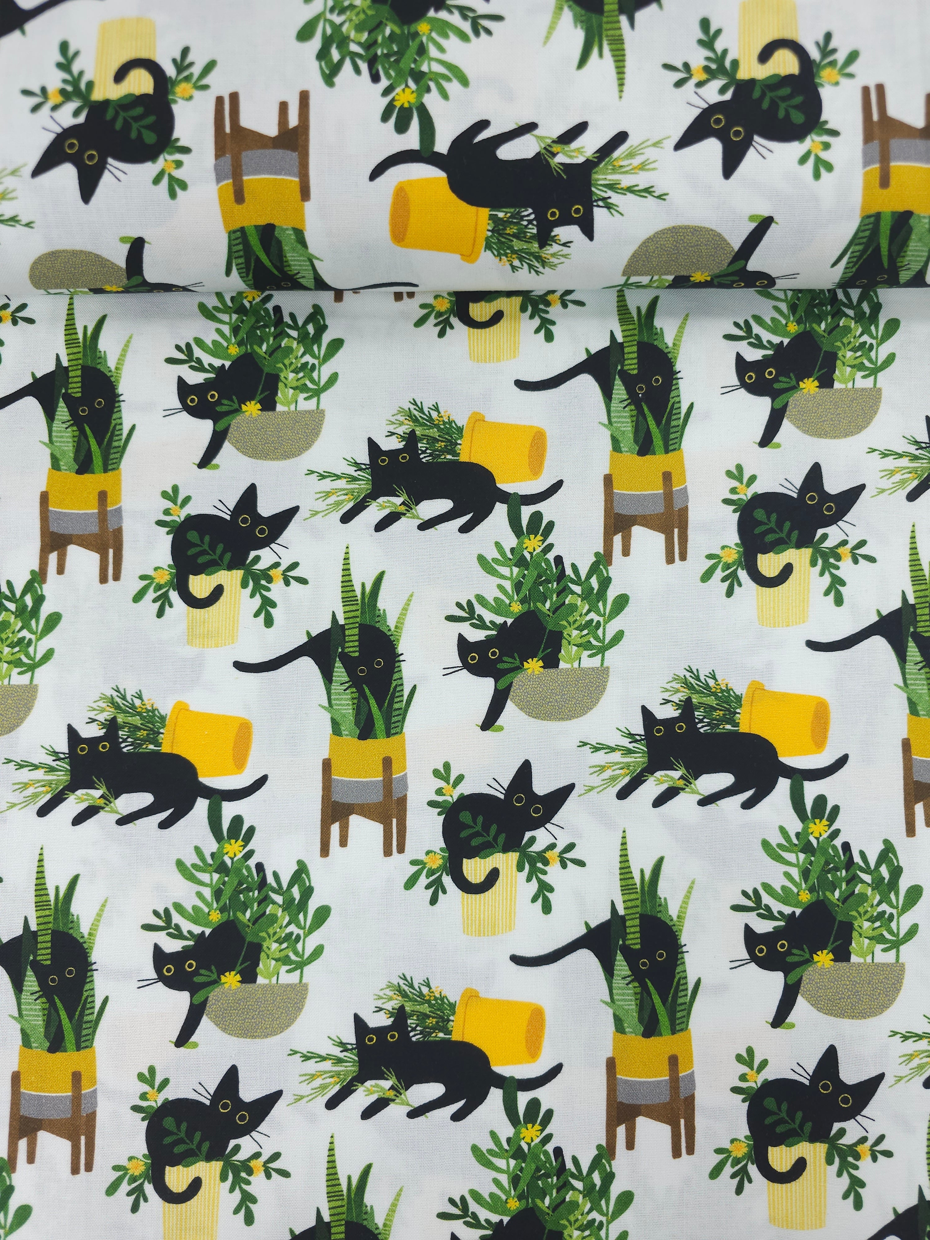 House Cat 100% Cotton