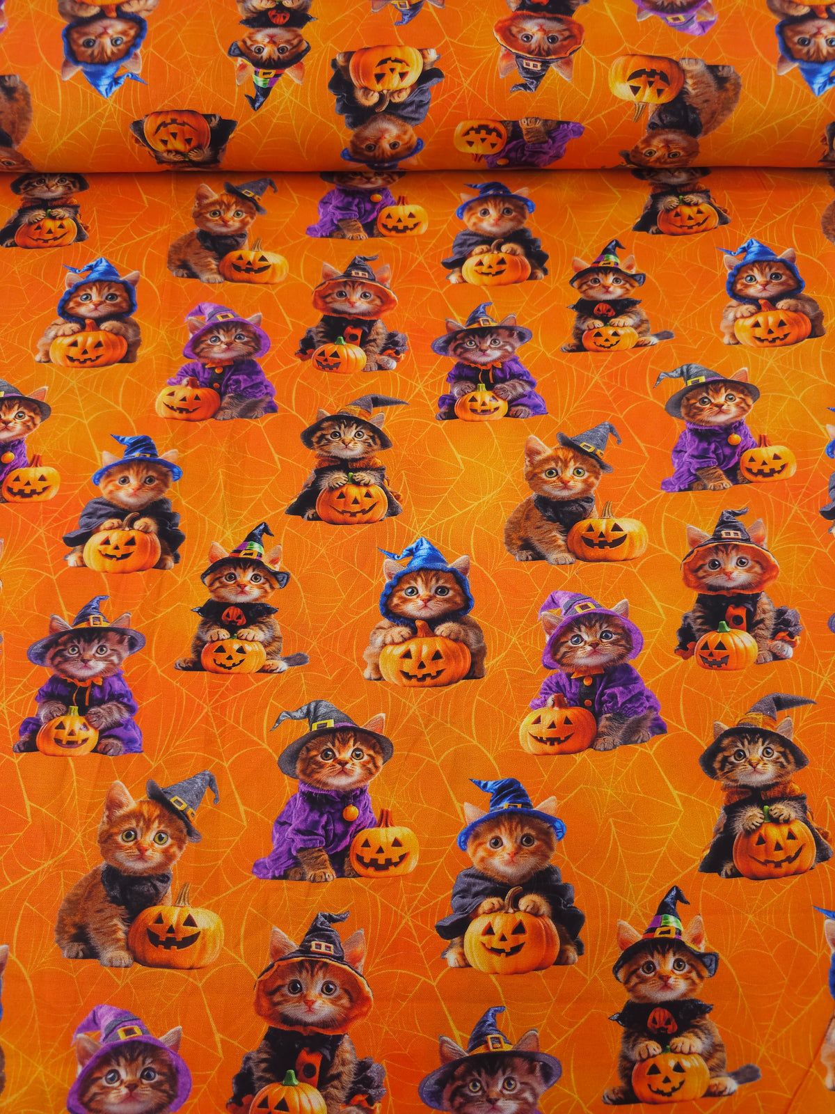 Halloween Kittens In Costume 100% Cotton