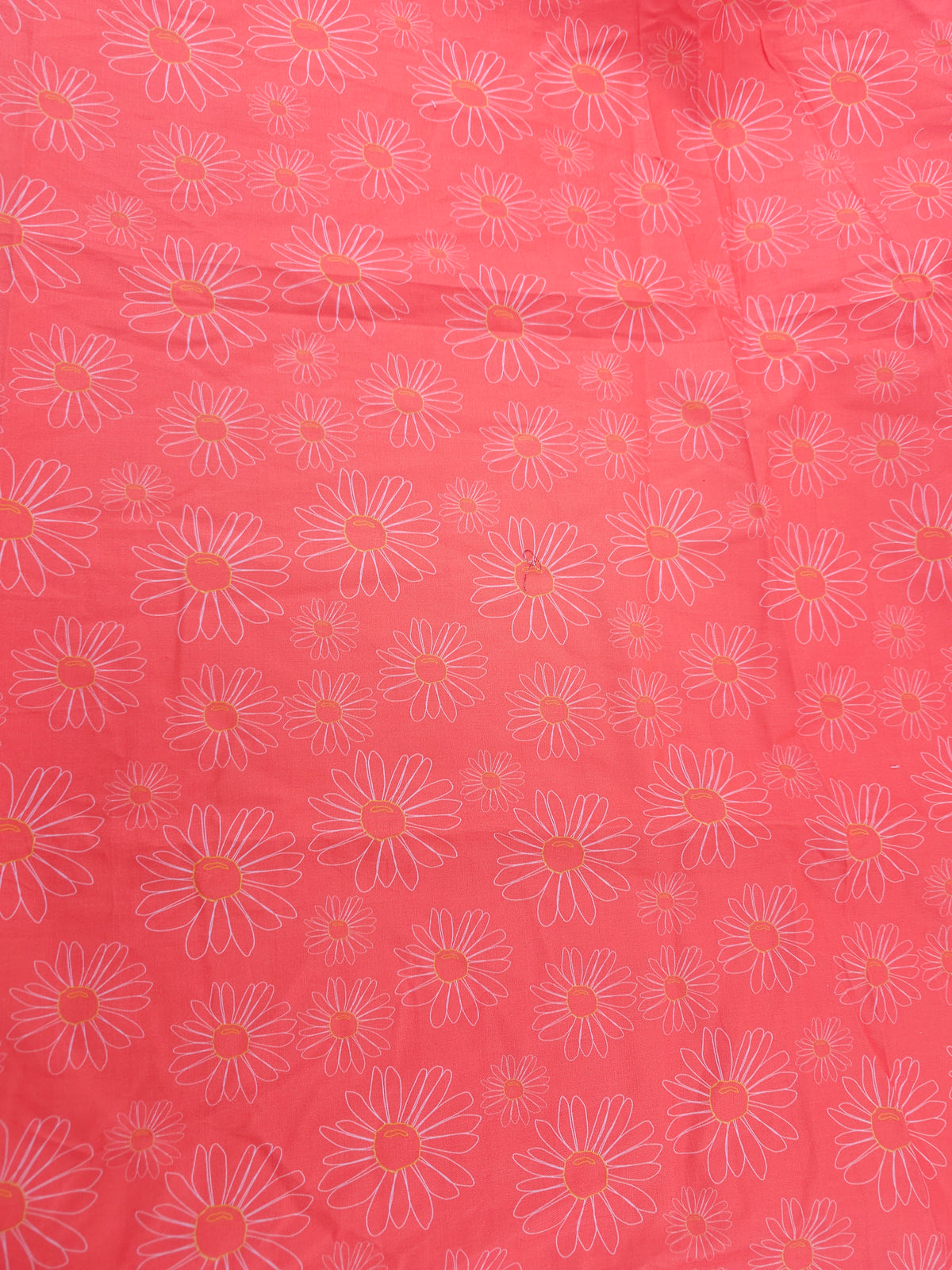 Salmon daisies Cotton- 1.2m piece